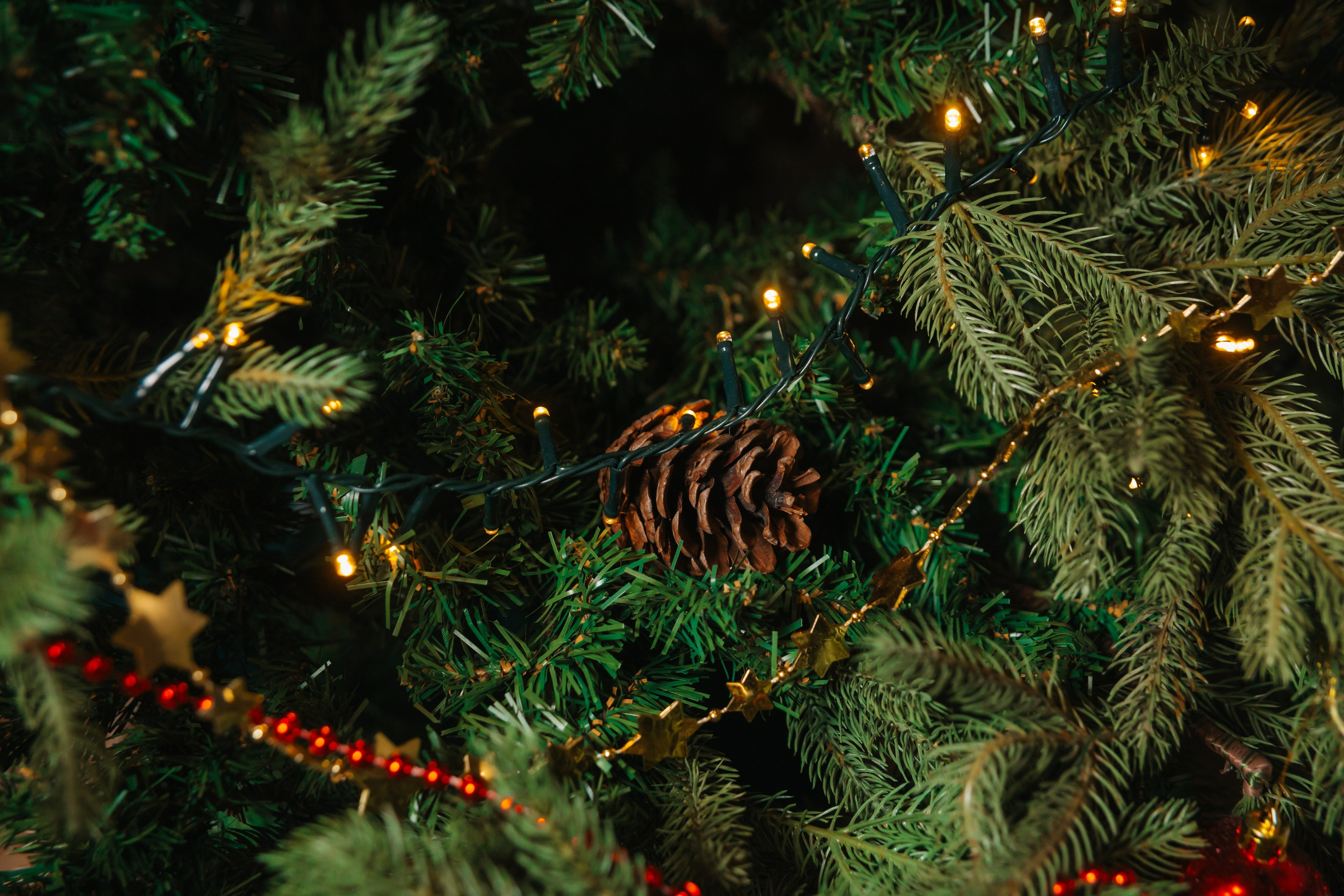 Кулинарные мастер-классы. Kubynin.V Production