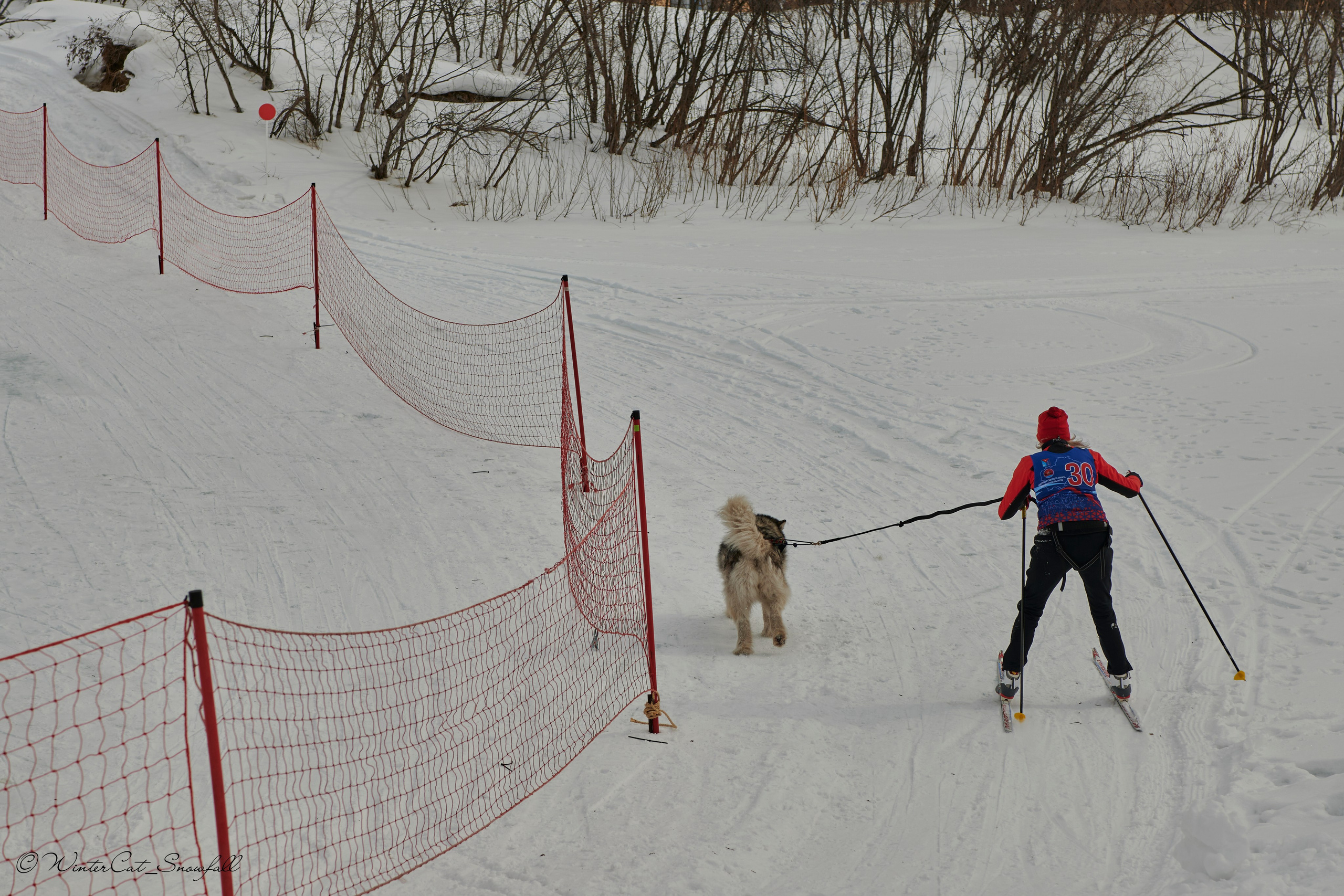 Дзяблу 30.03. Портретный и репортажный фотограф в Магадане Андрей Нефедов WinterCatPhoto