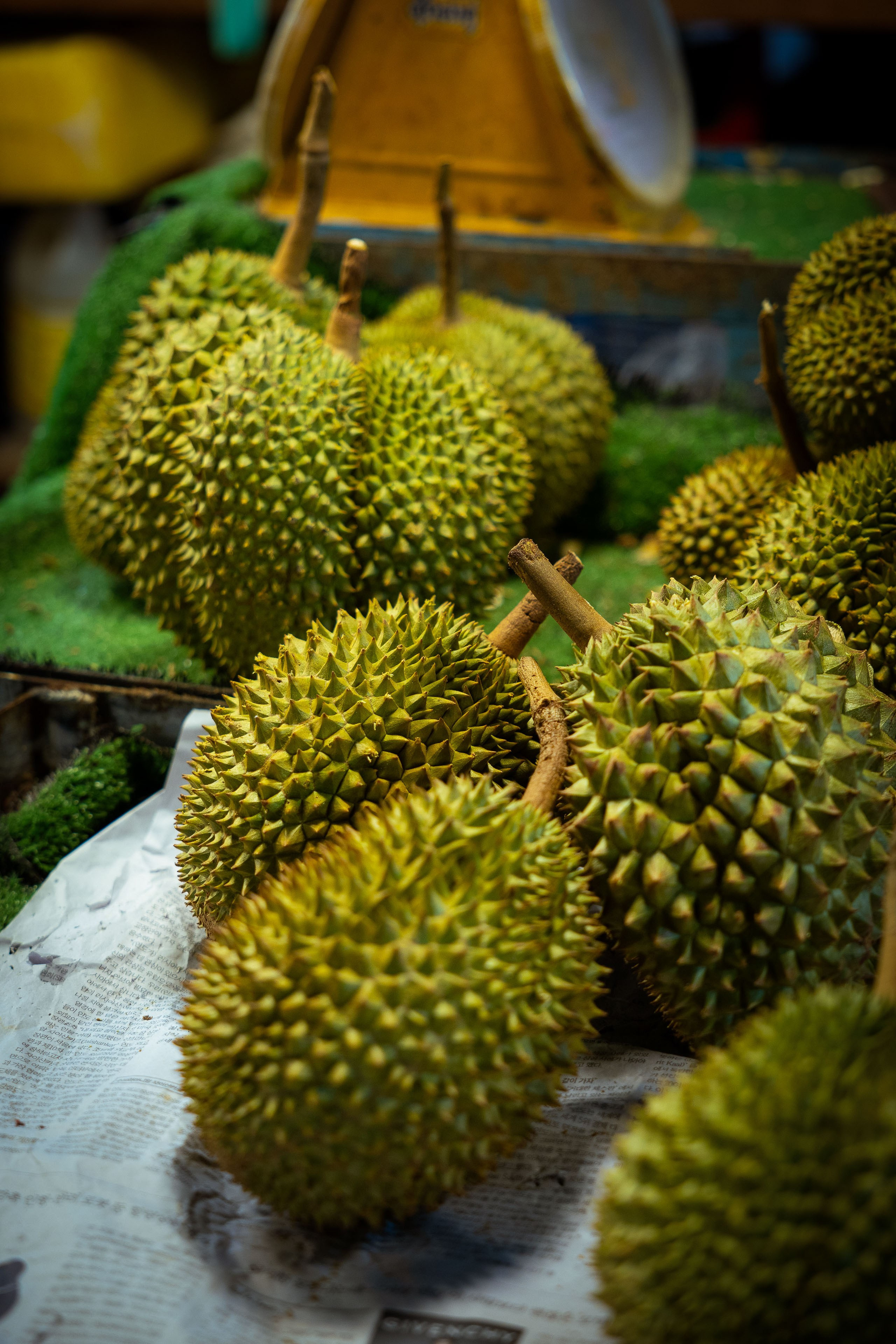 Таиланд (зима 2025). Фотограф Виноградов Константин