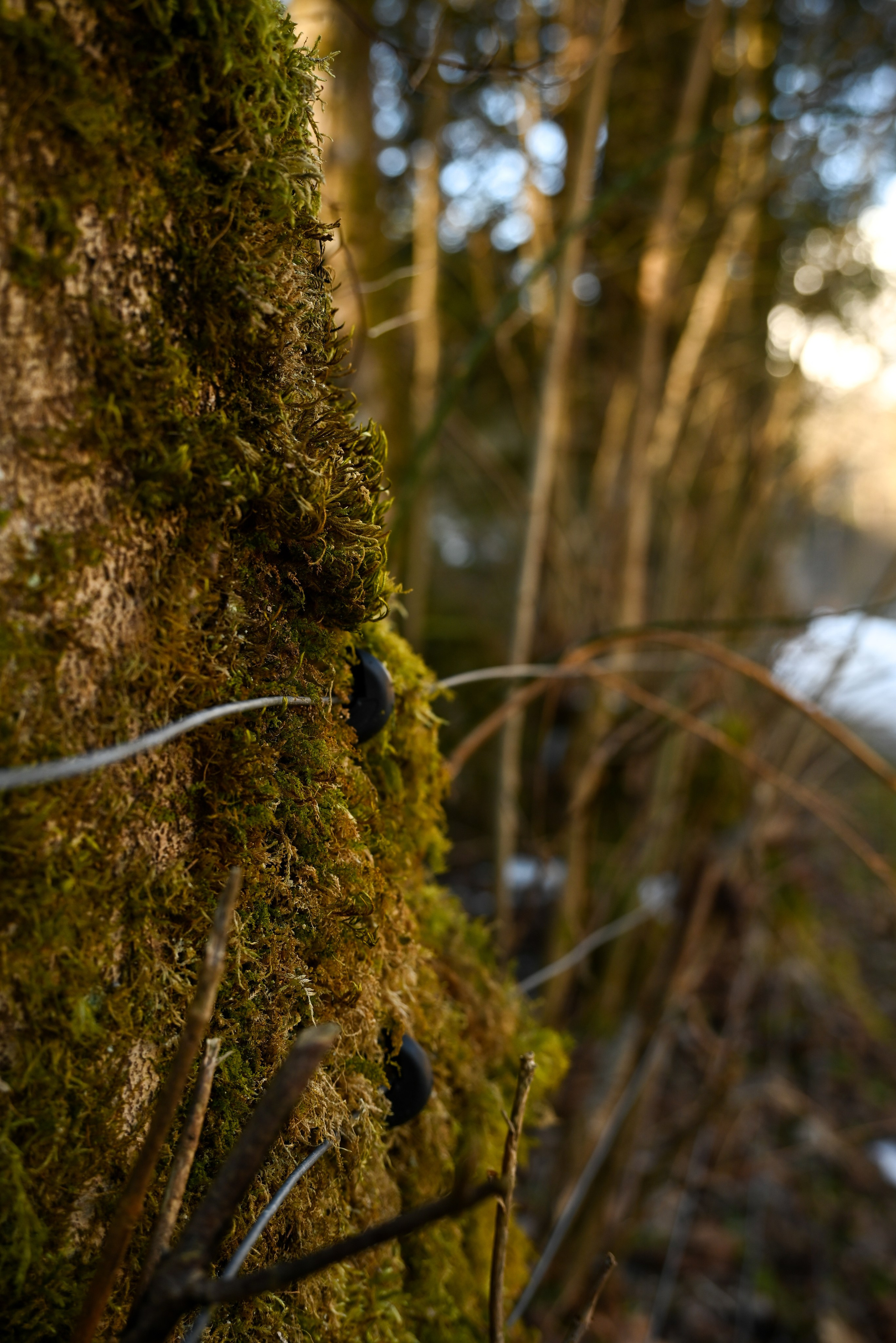 Nature. Андрей Пиотровский. Фотограф