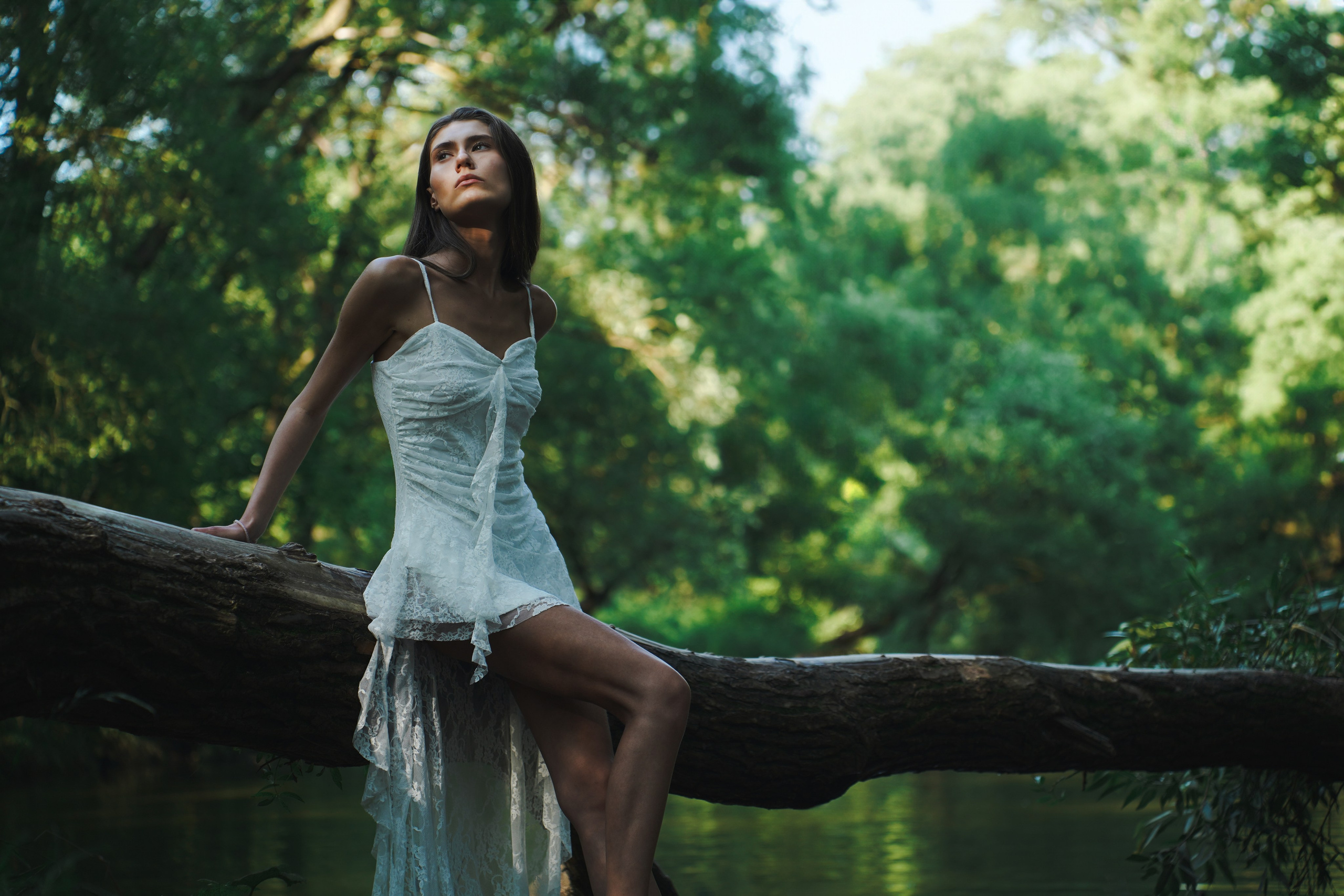 Diddesign — Фото видеосъемка, разработка уникальных логотипов, веб-дизайн, брендинг