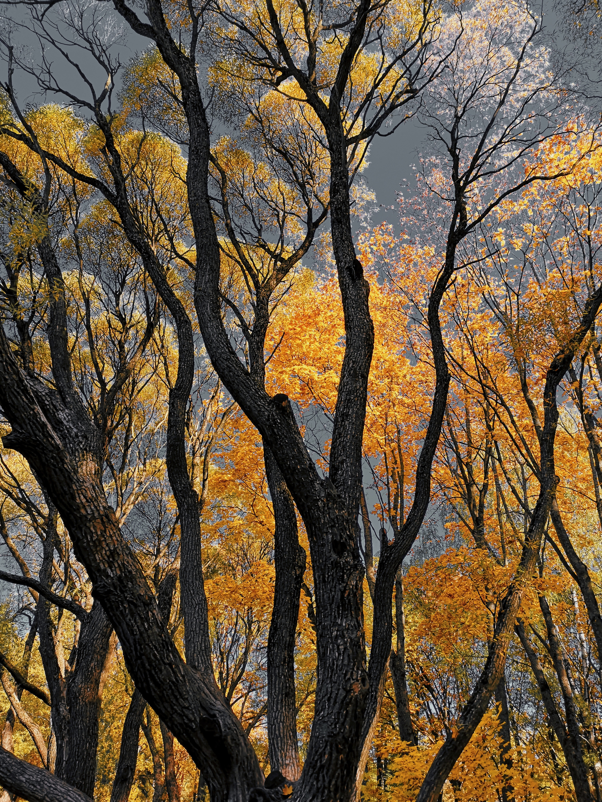 Art пейзаж. Фотограф Анастасия Федорова  Санкт-Петербург