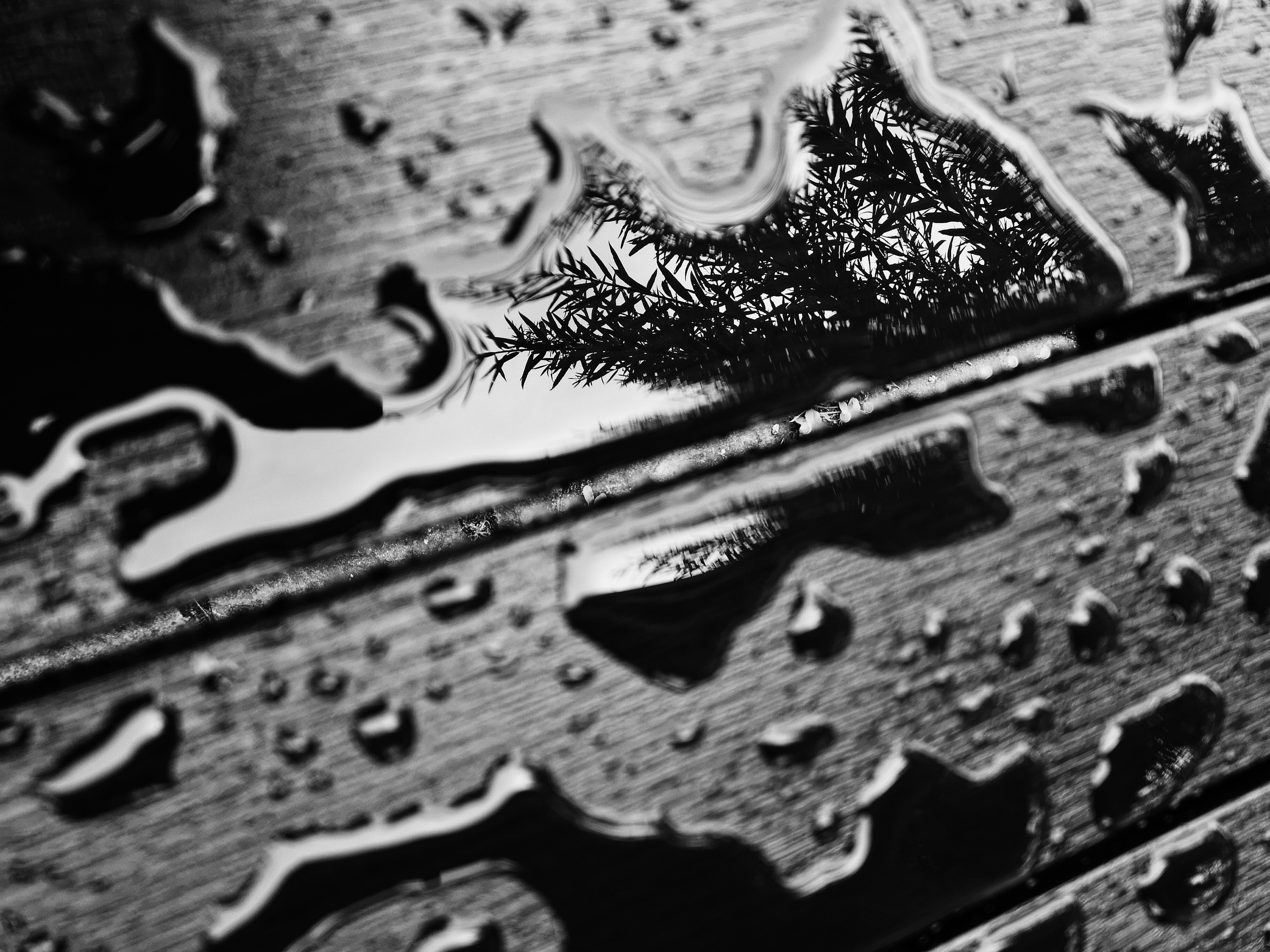 Art пейзаж. Фотограф Анастасия Федорова  Санкт-Петербург