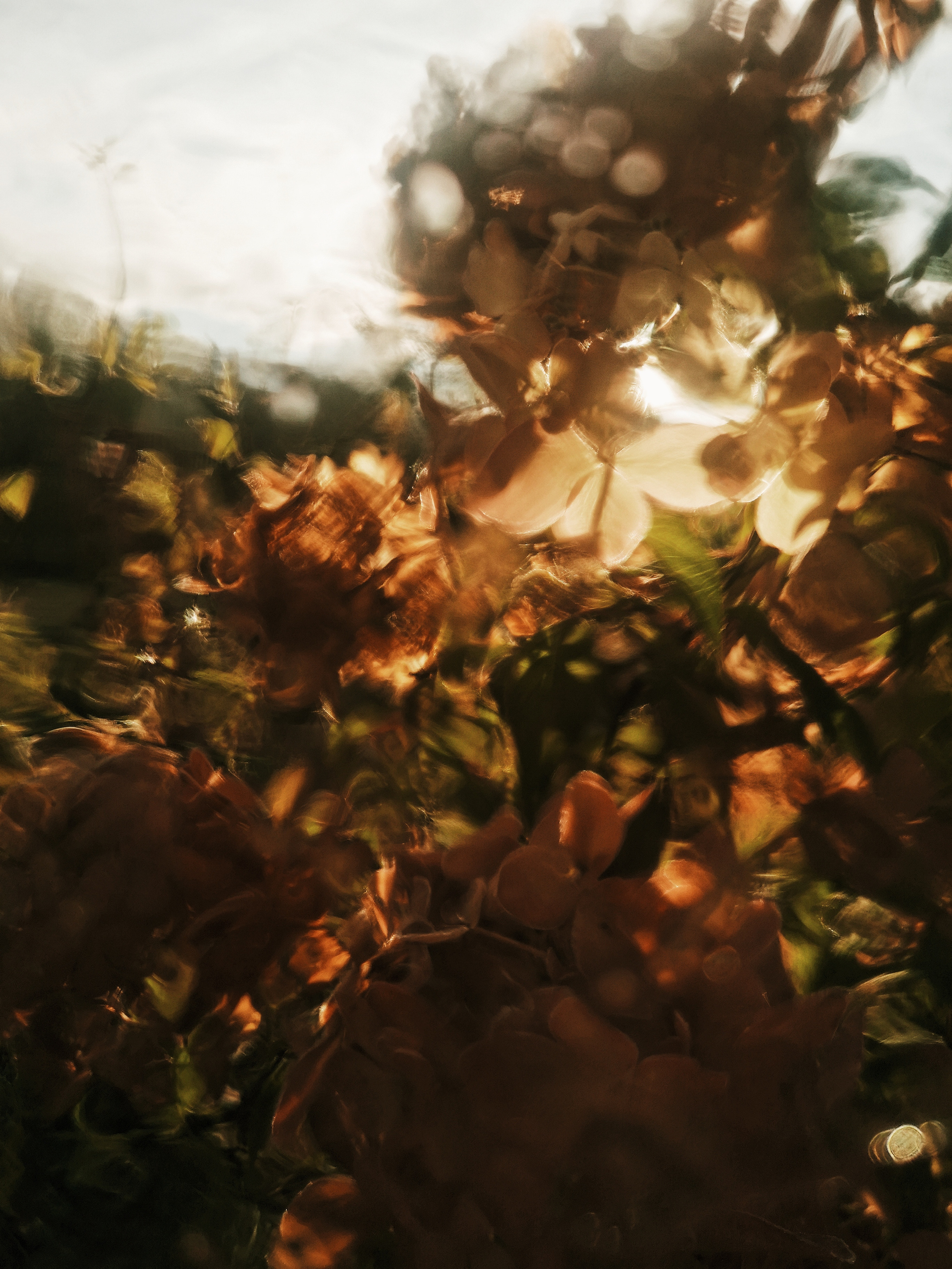 Art пейзаж. Фотограф Анастасия Федорова  Санкт-Петербург