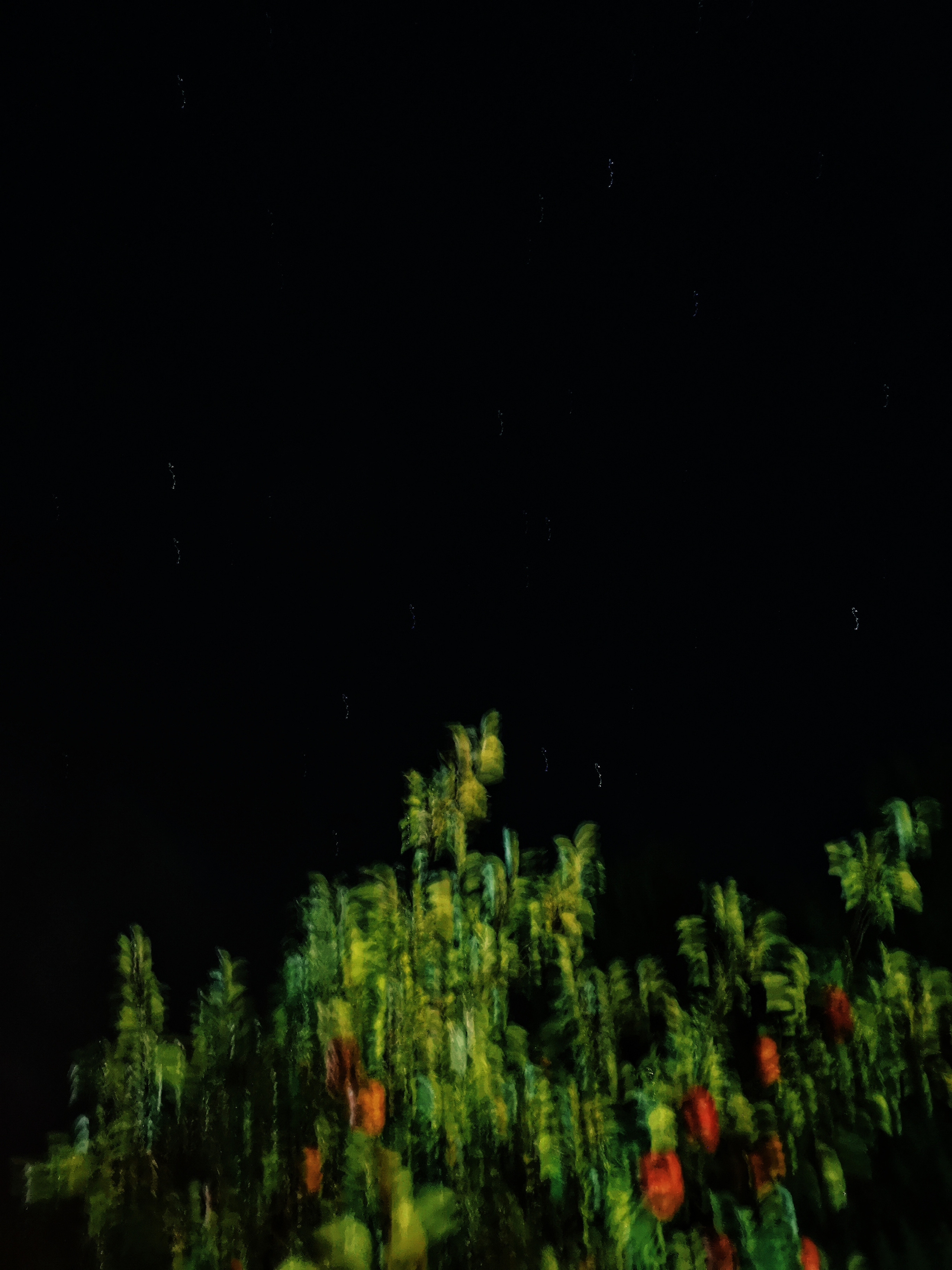 Art пейзаж. Фотограф Анастасия Федорова  Санкт-Петербург