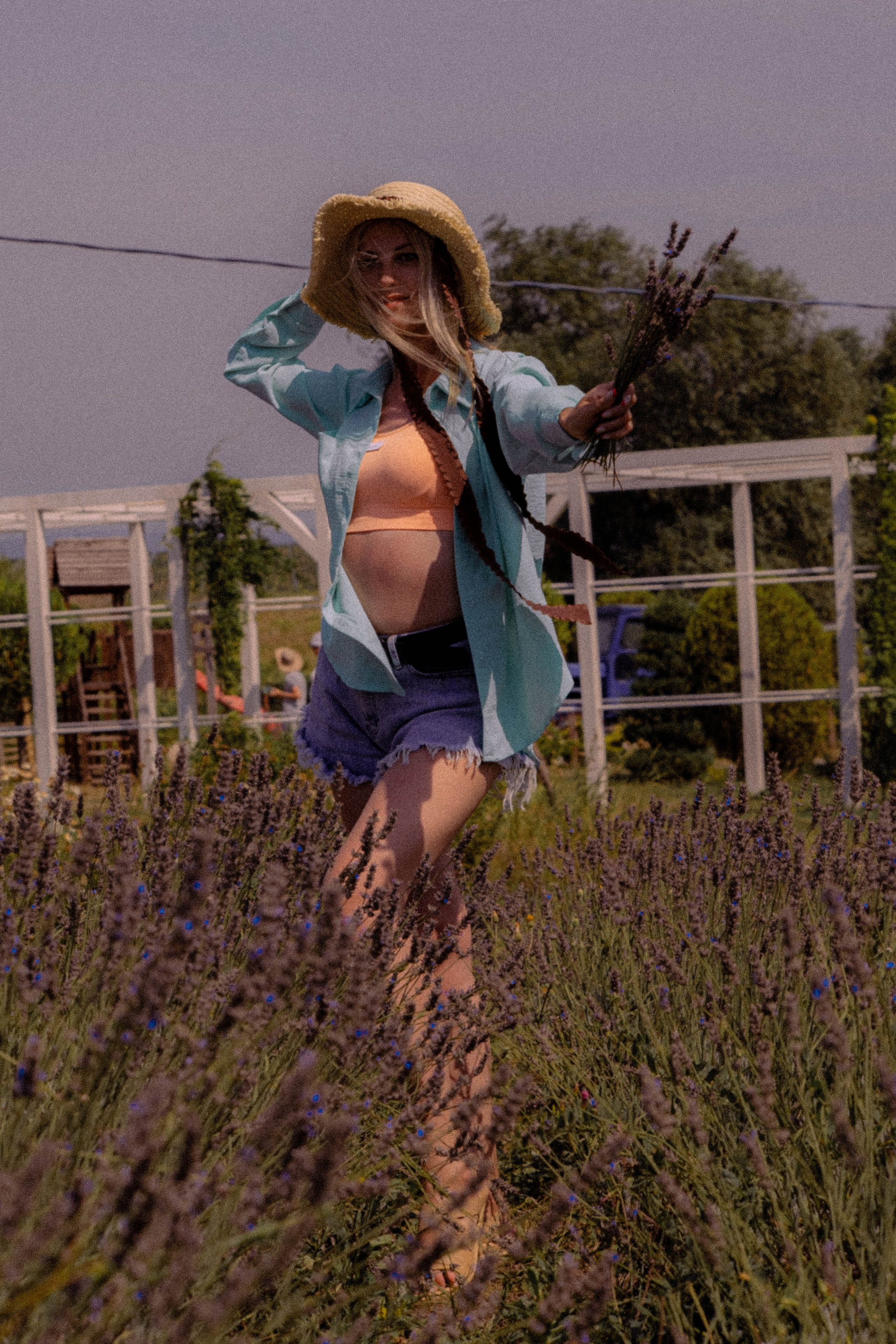 ЛАВАНВОДОВОЕ ПОЛЕ. Профессиональный фотограф, Санкт-Петербург — Виктория Богомолова