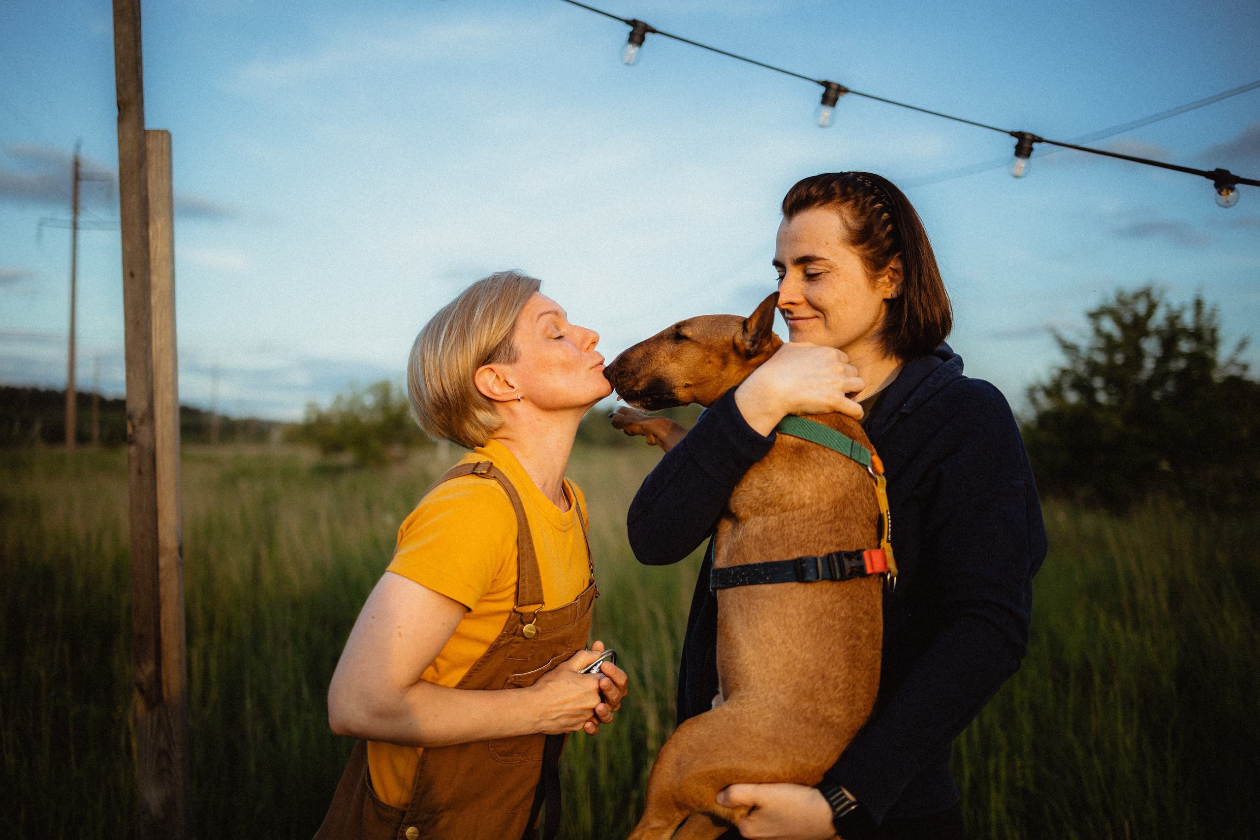 Выездной дог-тренинг от школы «Шерсть имею»
