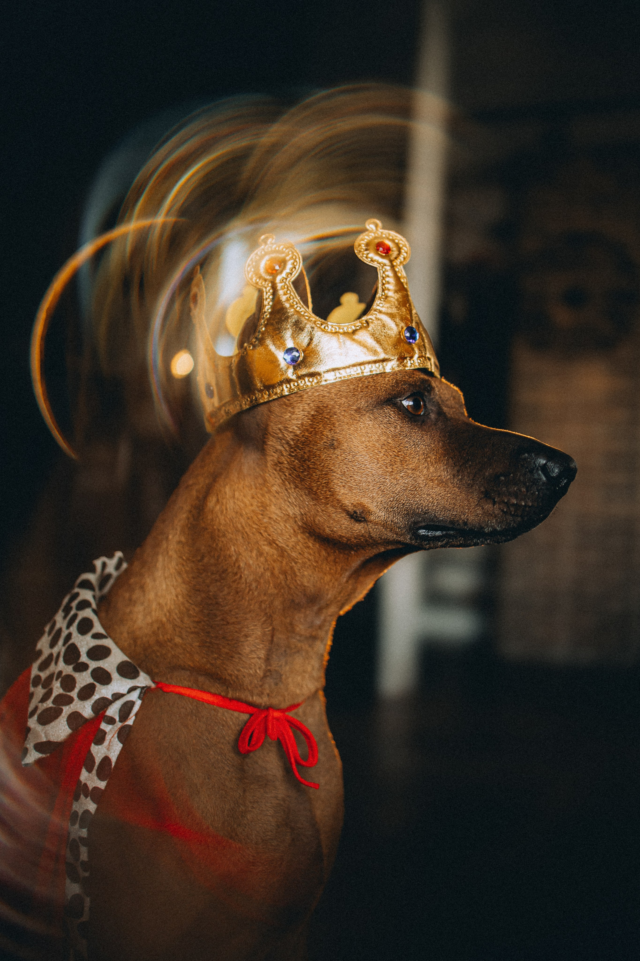 Оксана и Зевс