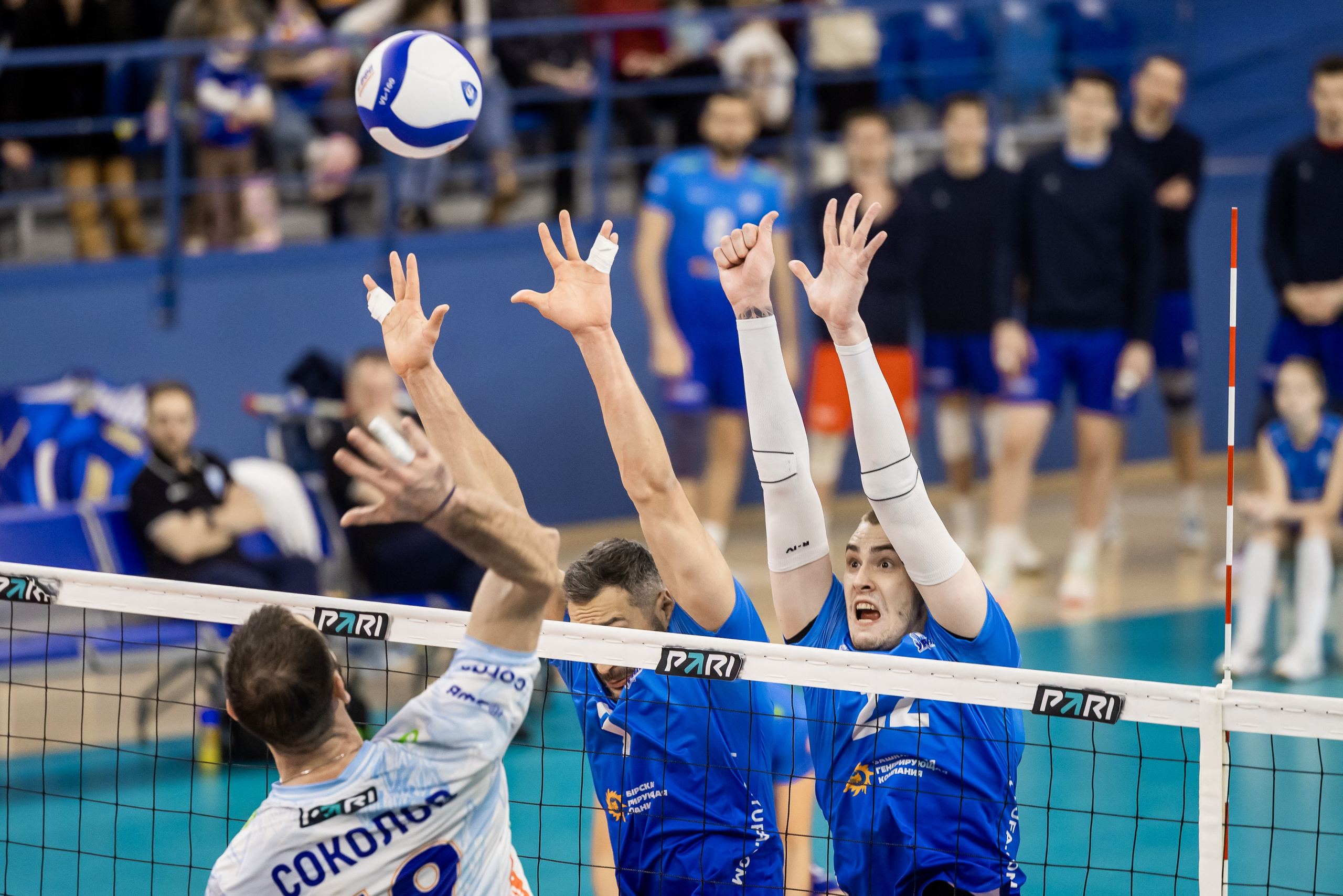 Волейбол. Репортажный фотограф в Москве Екатерина Якель