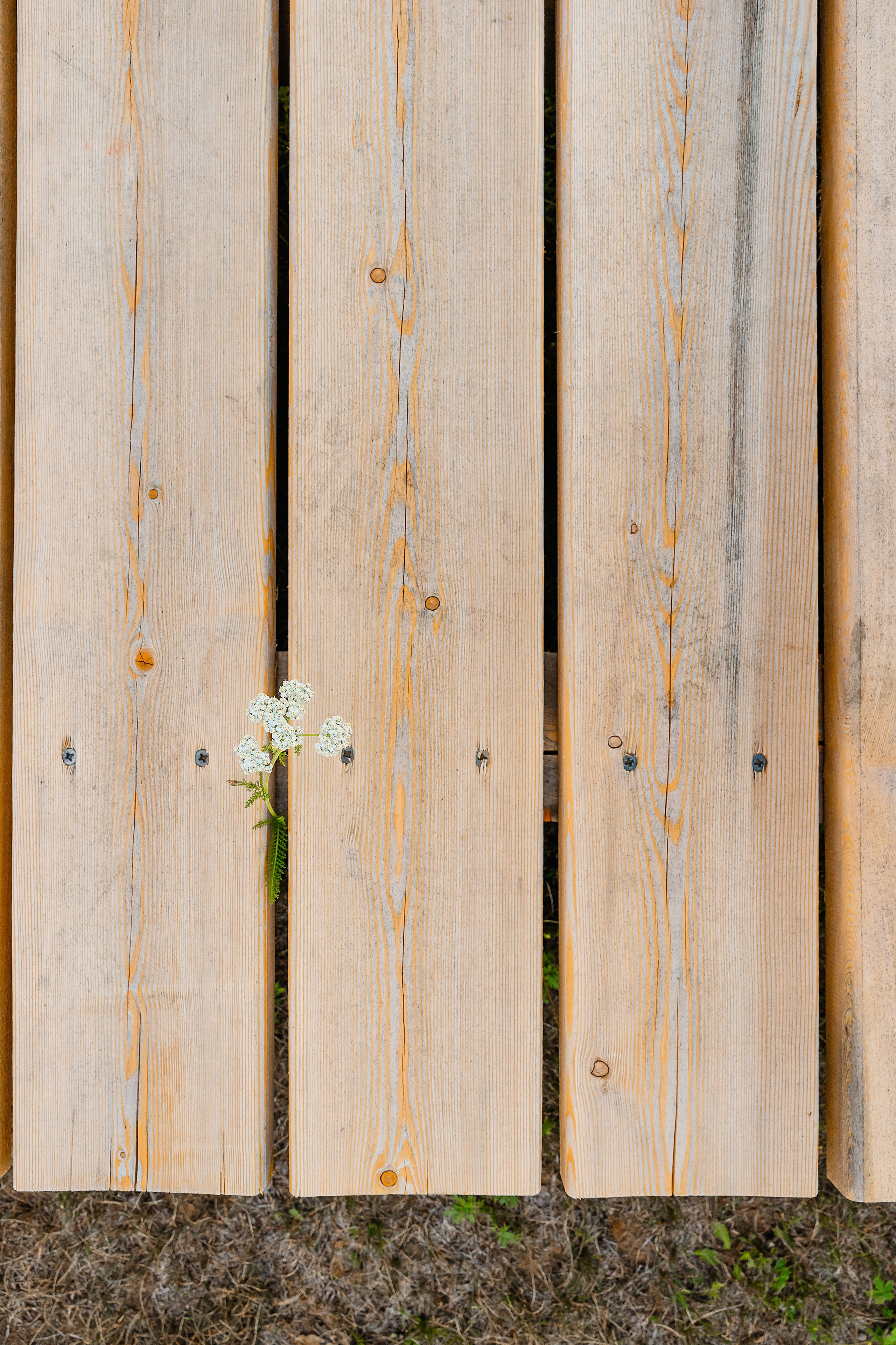 @Artel.Baikal. Фотограф и видеограф в Улан-Удэ: Аюна Габагуева и Артём Шаханов