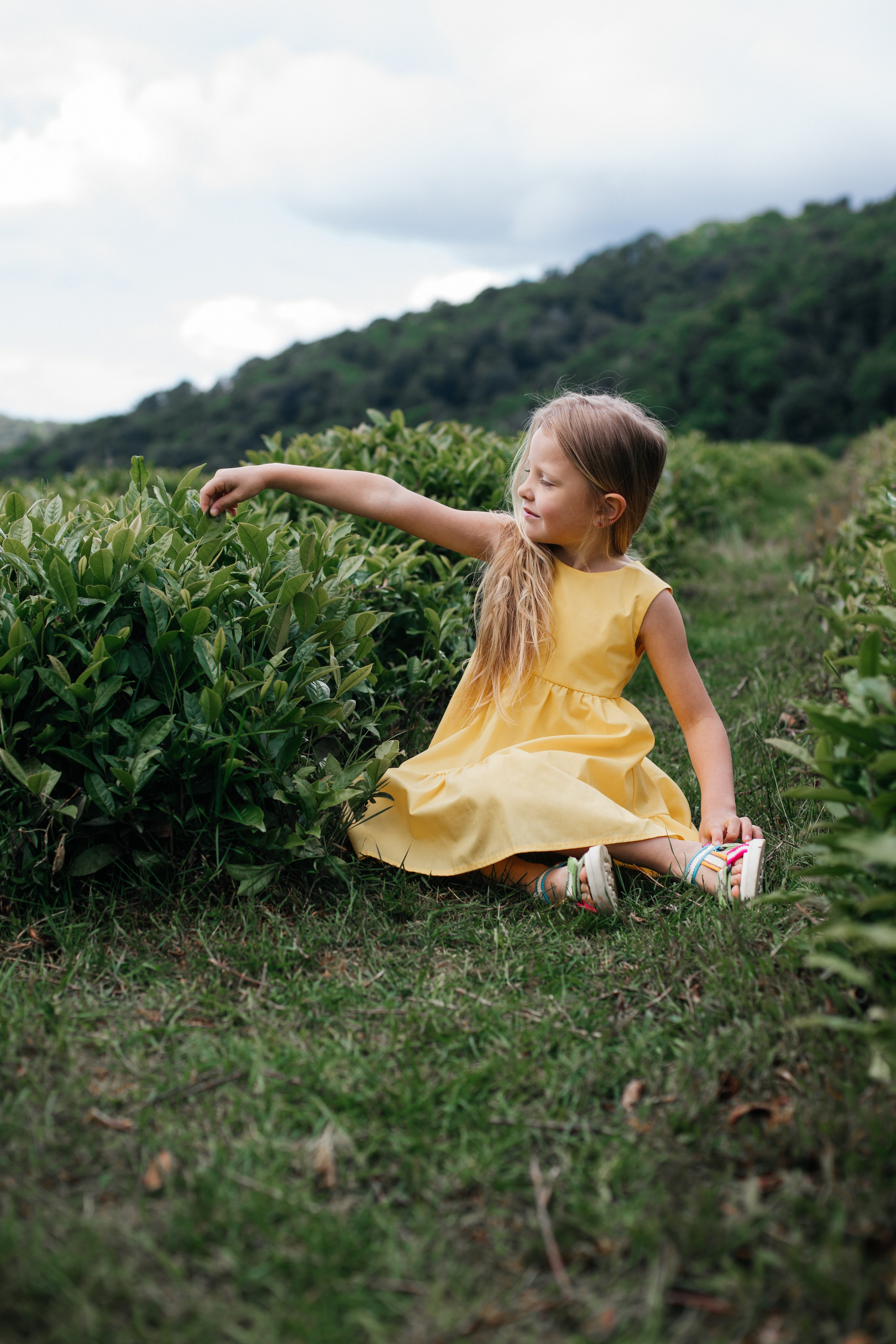 Tea plantation. Efimova Model Agency