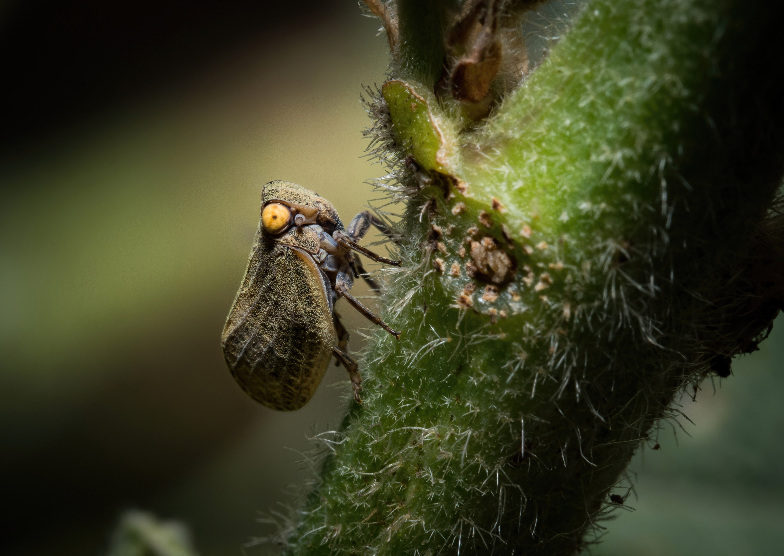 Остальные. Oles Paritskiy