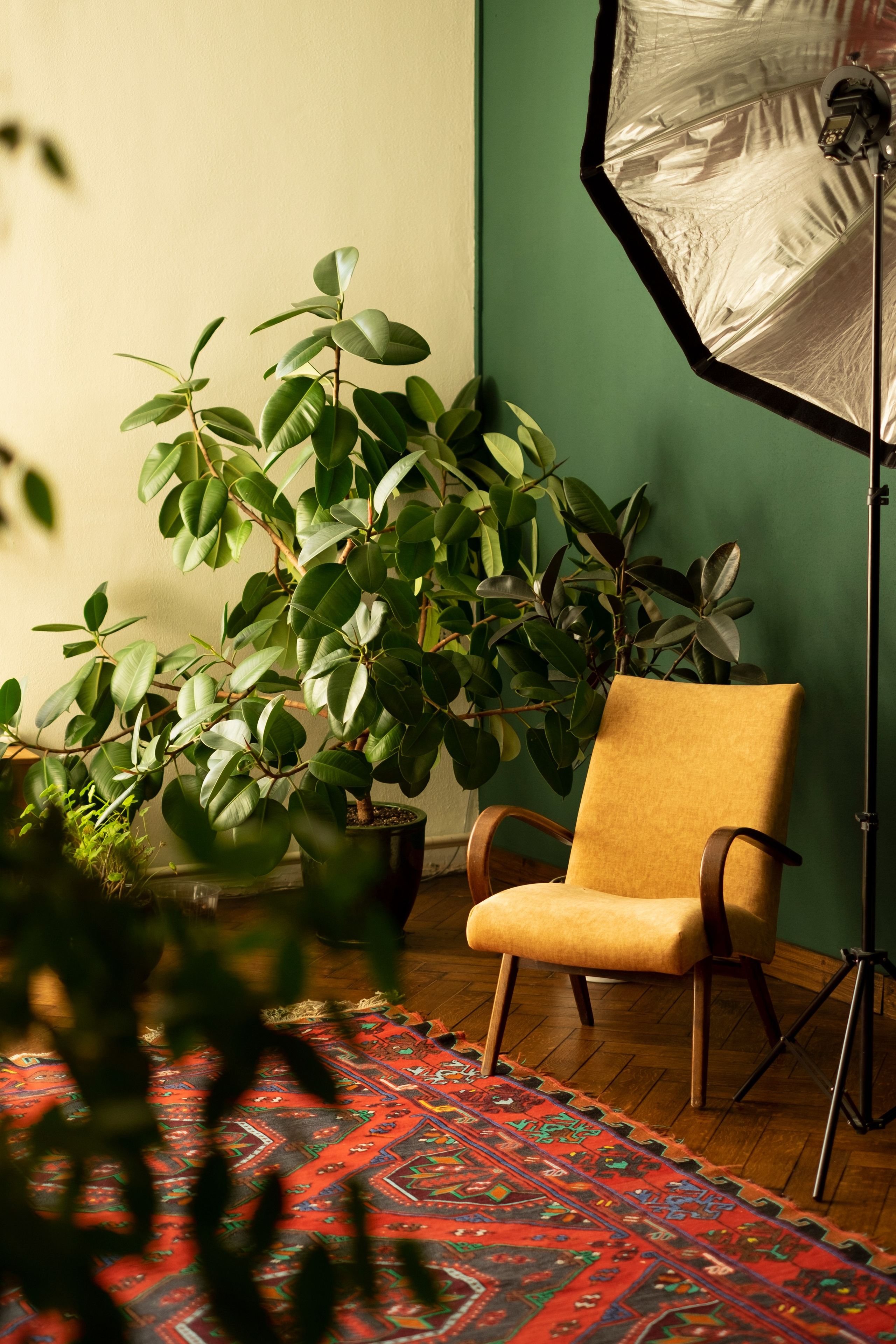 Живая Студия. Фототерапия «Пульс СЧАСТЬЯ»