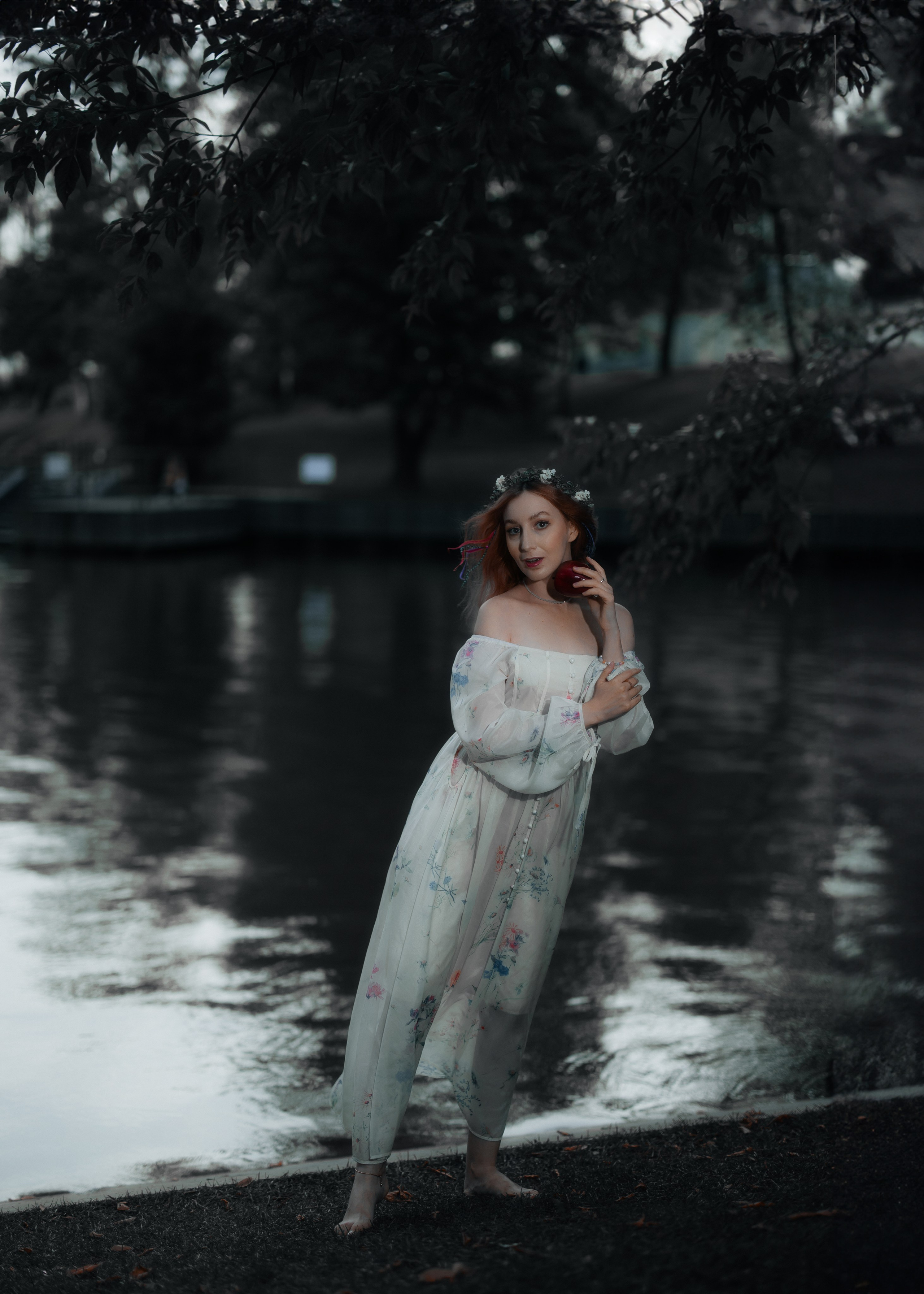 ELENA. Shamirov Arkadiy