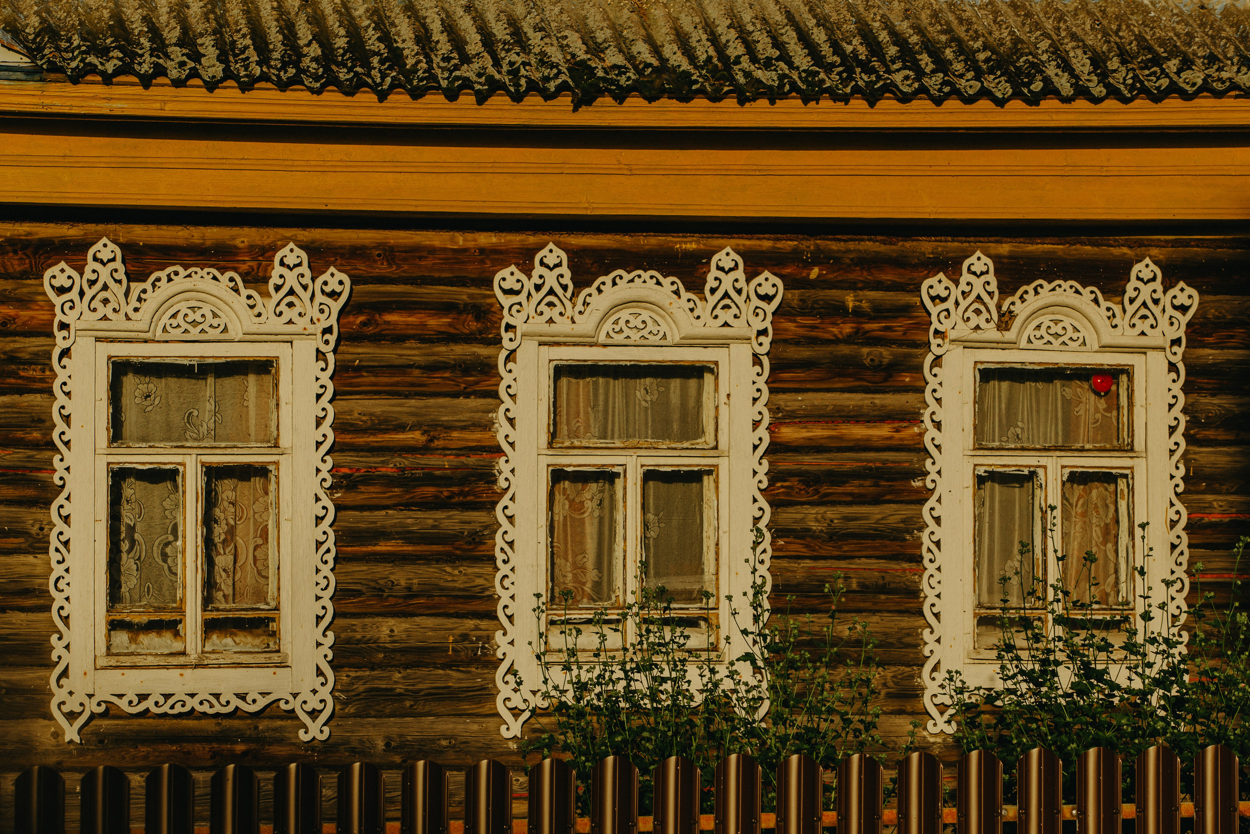 Пошехонский район