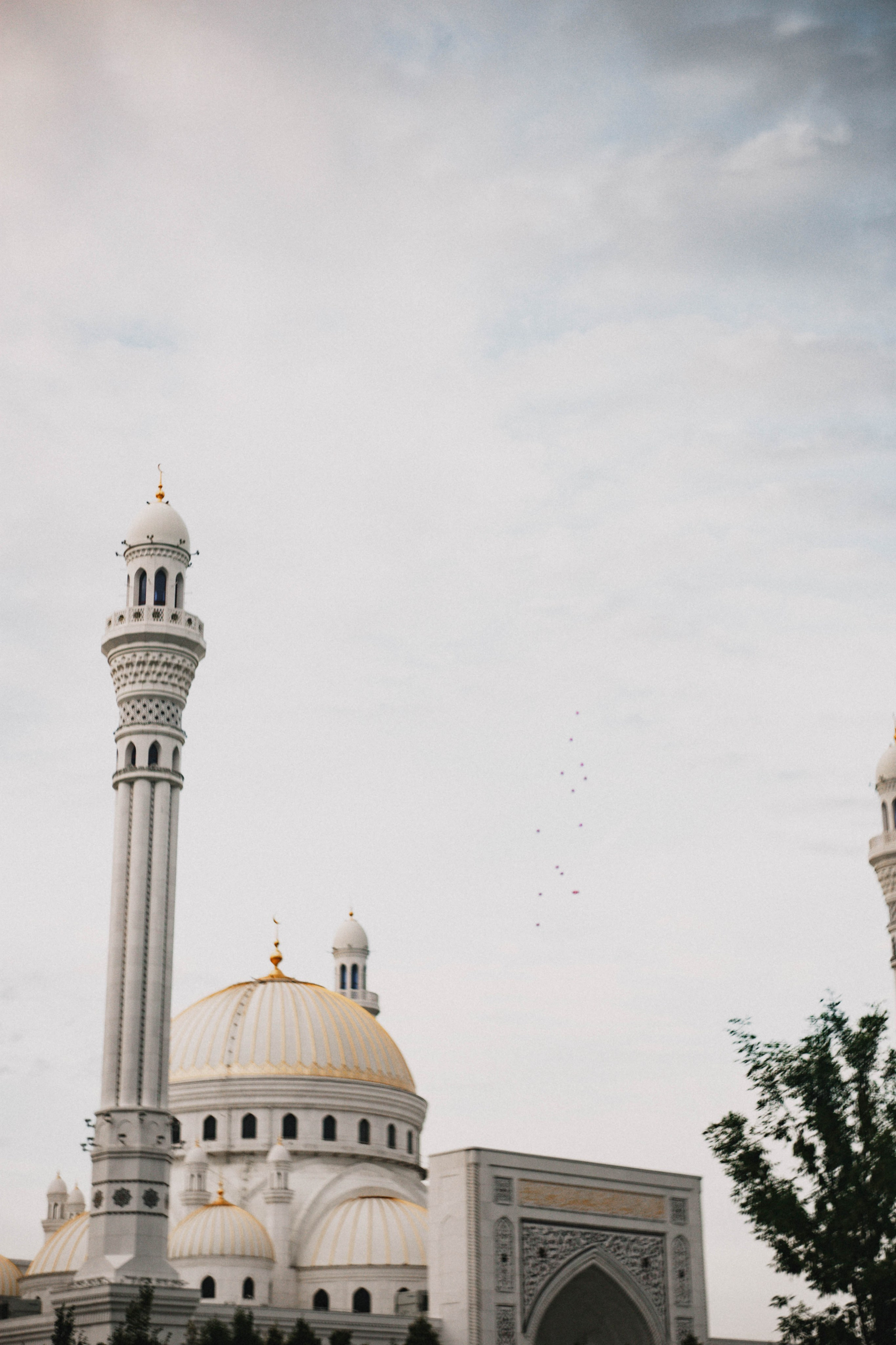 Дагестан. Чечня. 2024. Фотограф в Нижнем Новгороде