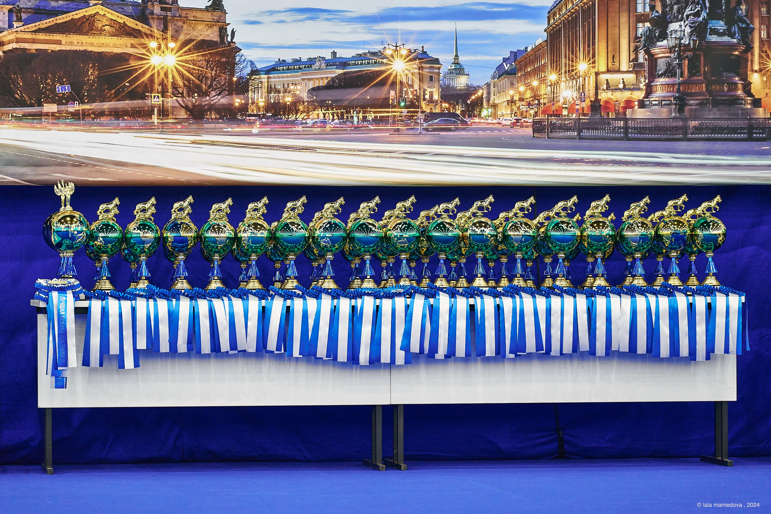 РЕЙТИНГОВАЯ ВЫСТАВКА СОБАК ВСЕХ ПОРОД С ОСОБЫМ СТАТУСОМ"НЕВСКИЙ ПОБЕДИТЕЛЬ-2024-1"