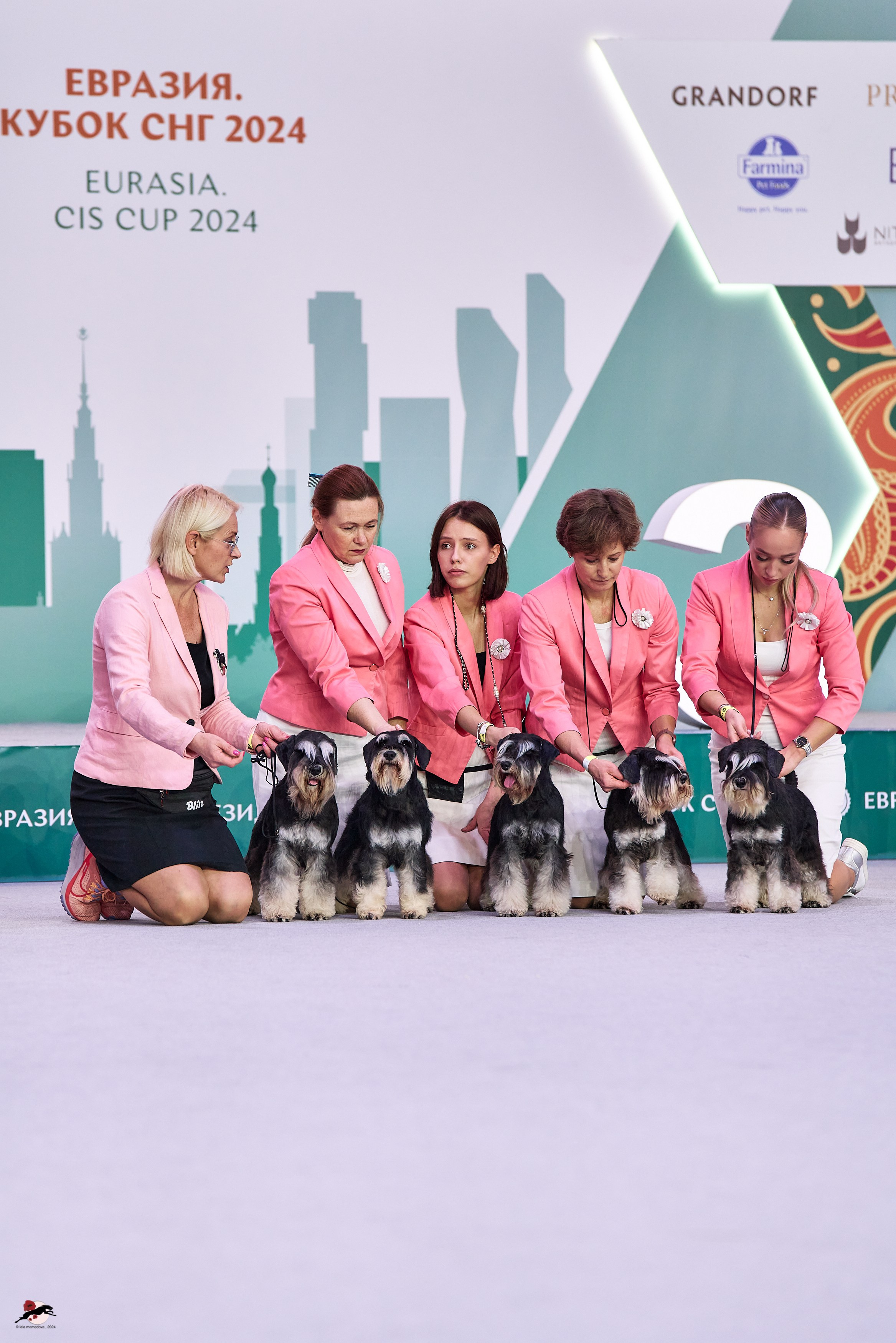 17.11.2024 «ЕВРАЗИЯ. КУБОК СНГ 2024»