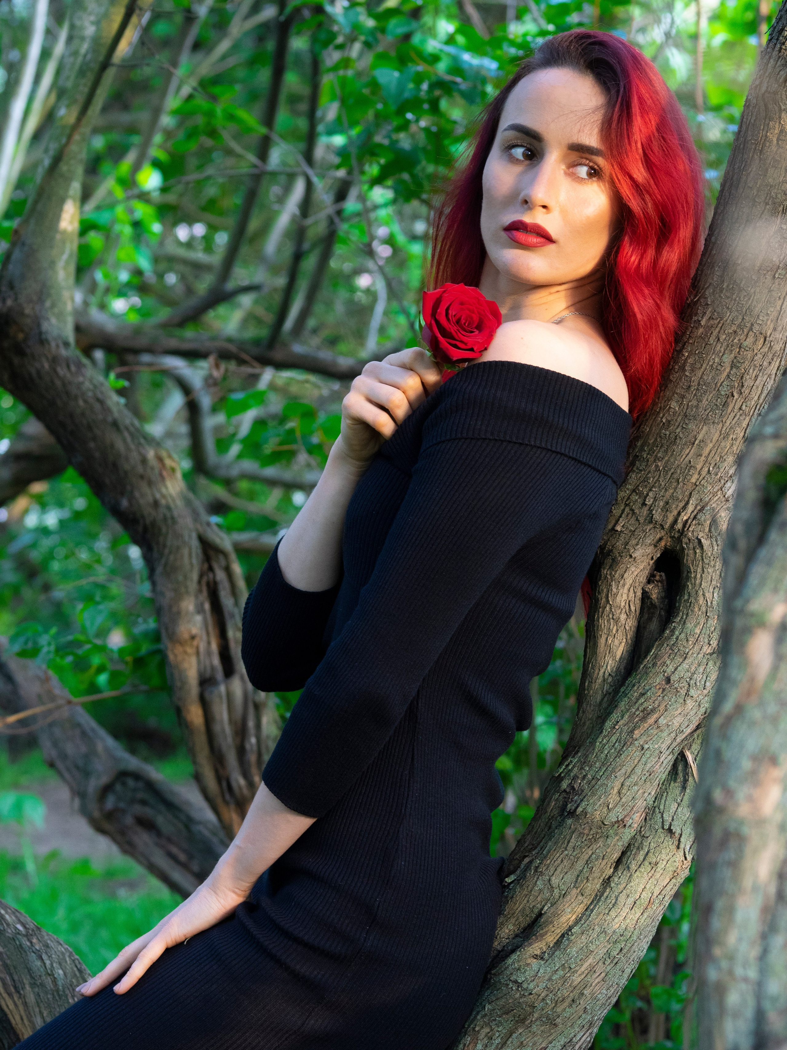 Галерея. Фотопроект Olympus