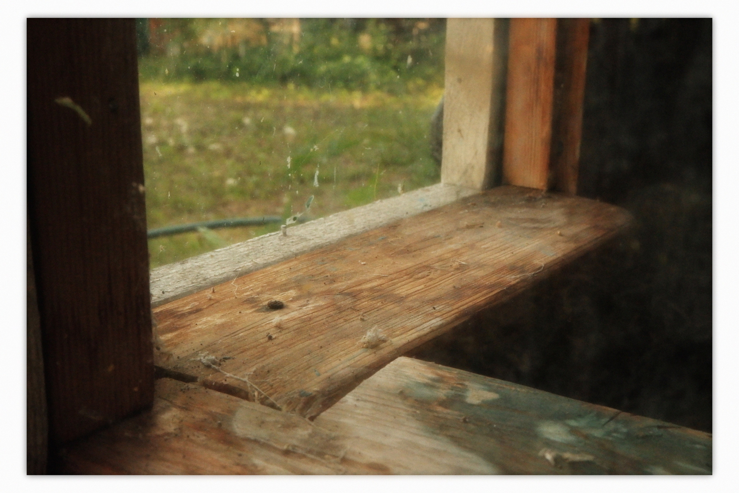 KALUGA. ANNA — PHOTOGRAPHER