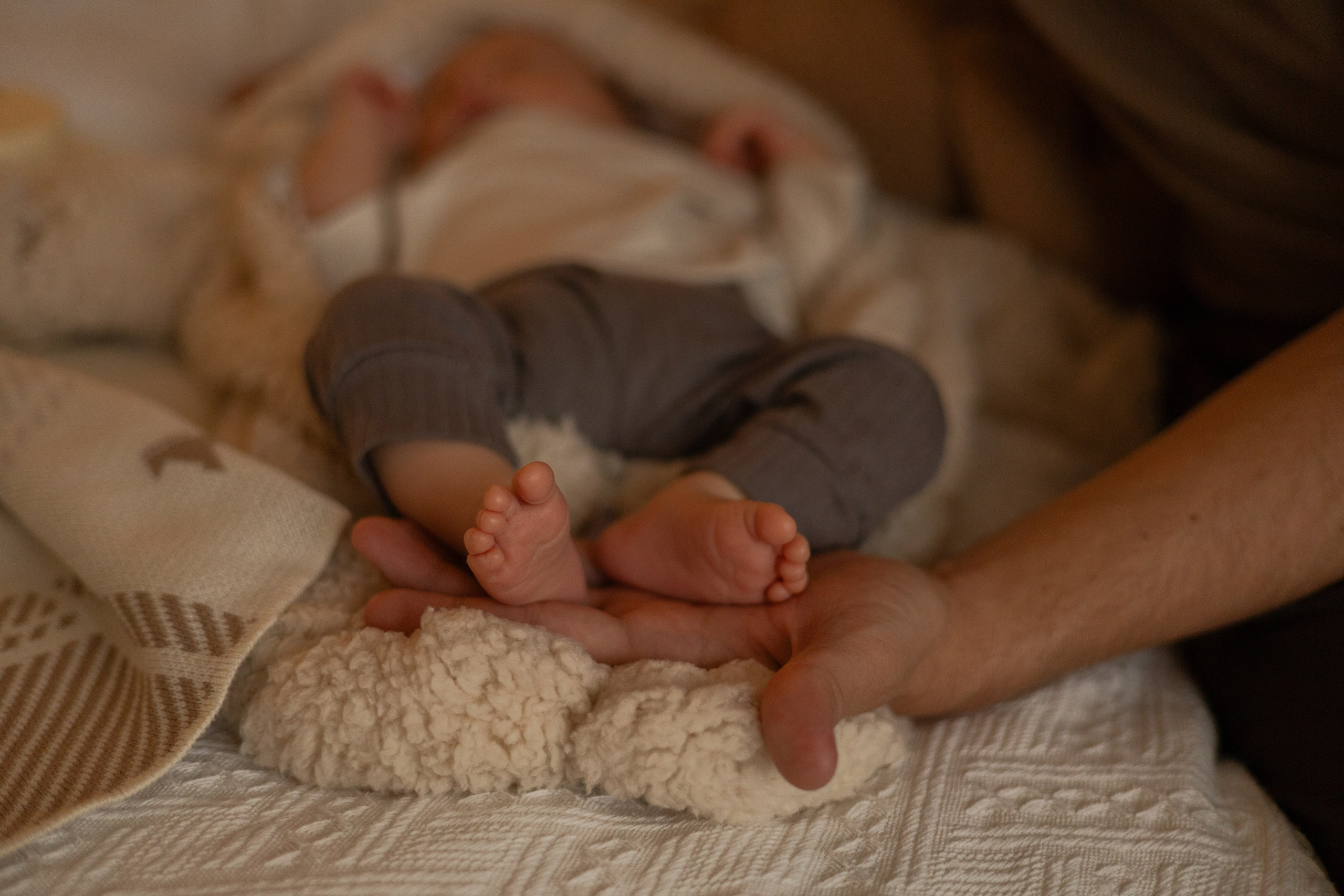 Мише 1 месяц. Главная