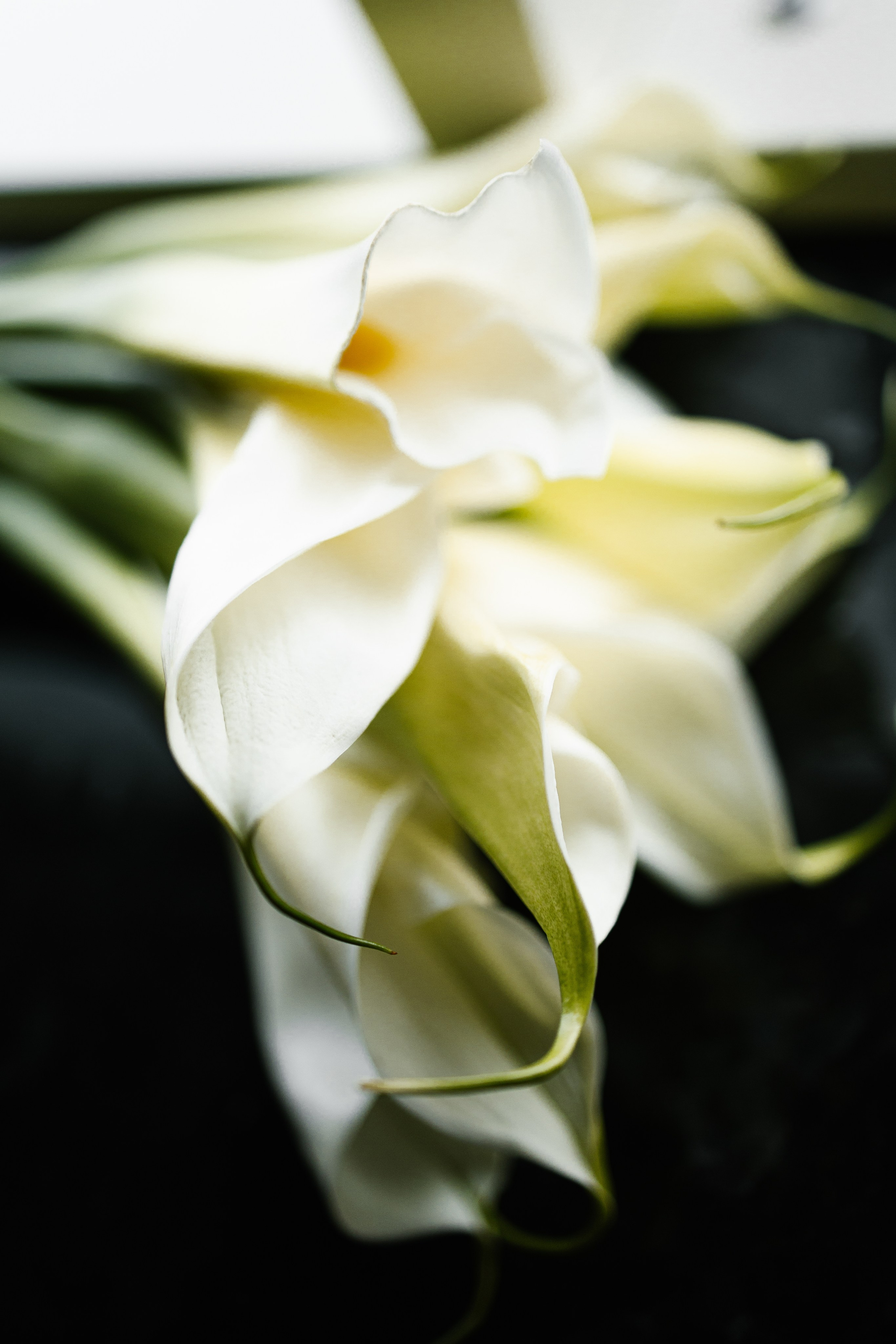 Ангелина и Никита. ФОТОГРАФ АЛИНА ФОКА