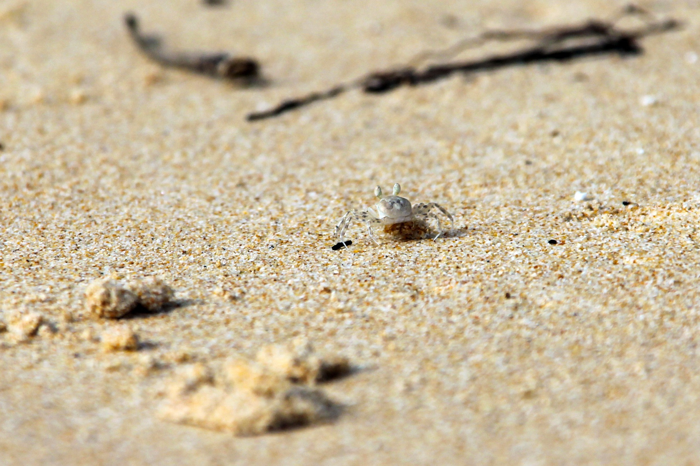 Пхукет. Фотограф Алексей Федорищев