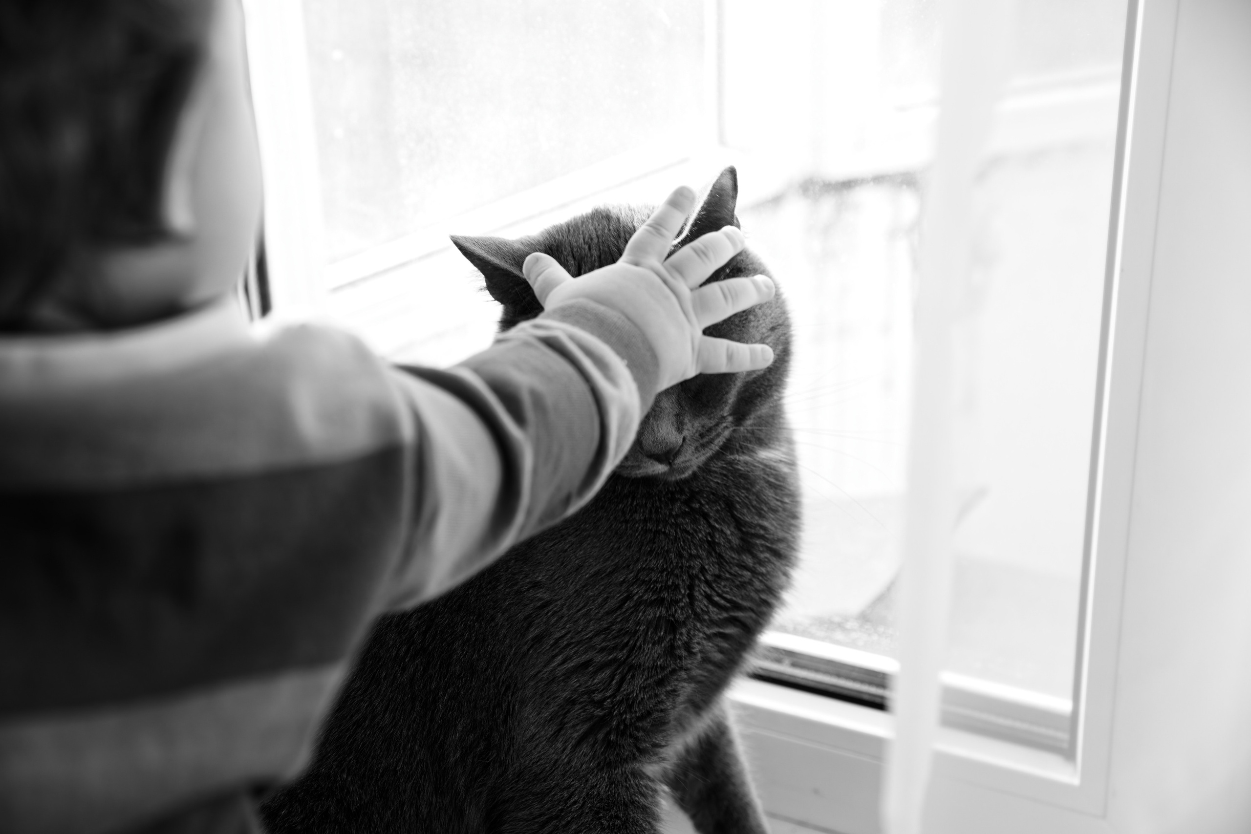 Семья Гуторовых. Семейный фотограф — Макс Белогрудов