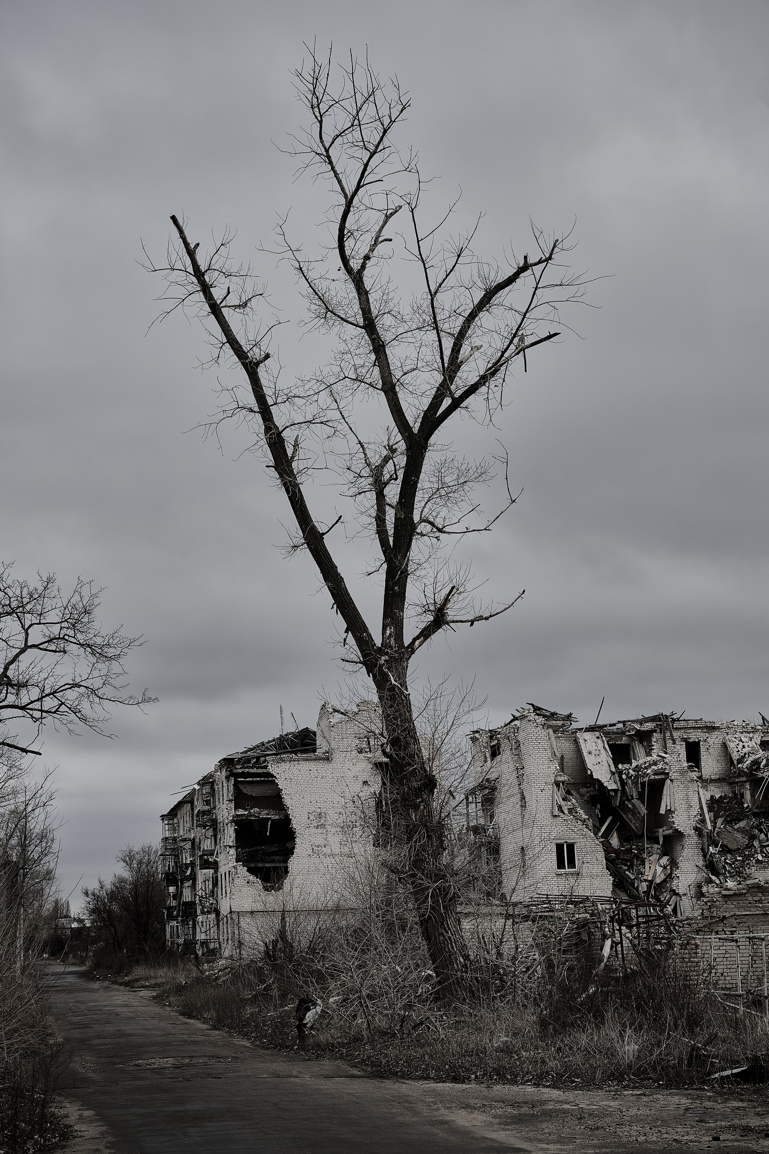 Северодонецк. Январь 2025. Фотограф Роман Адлер