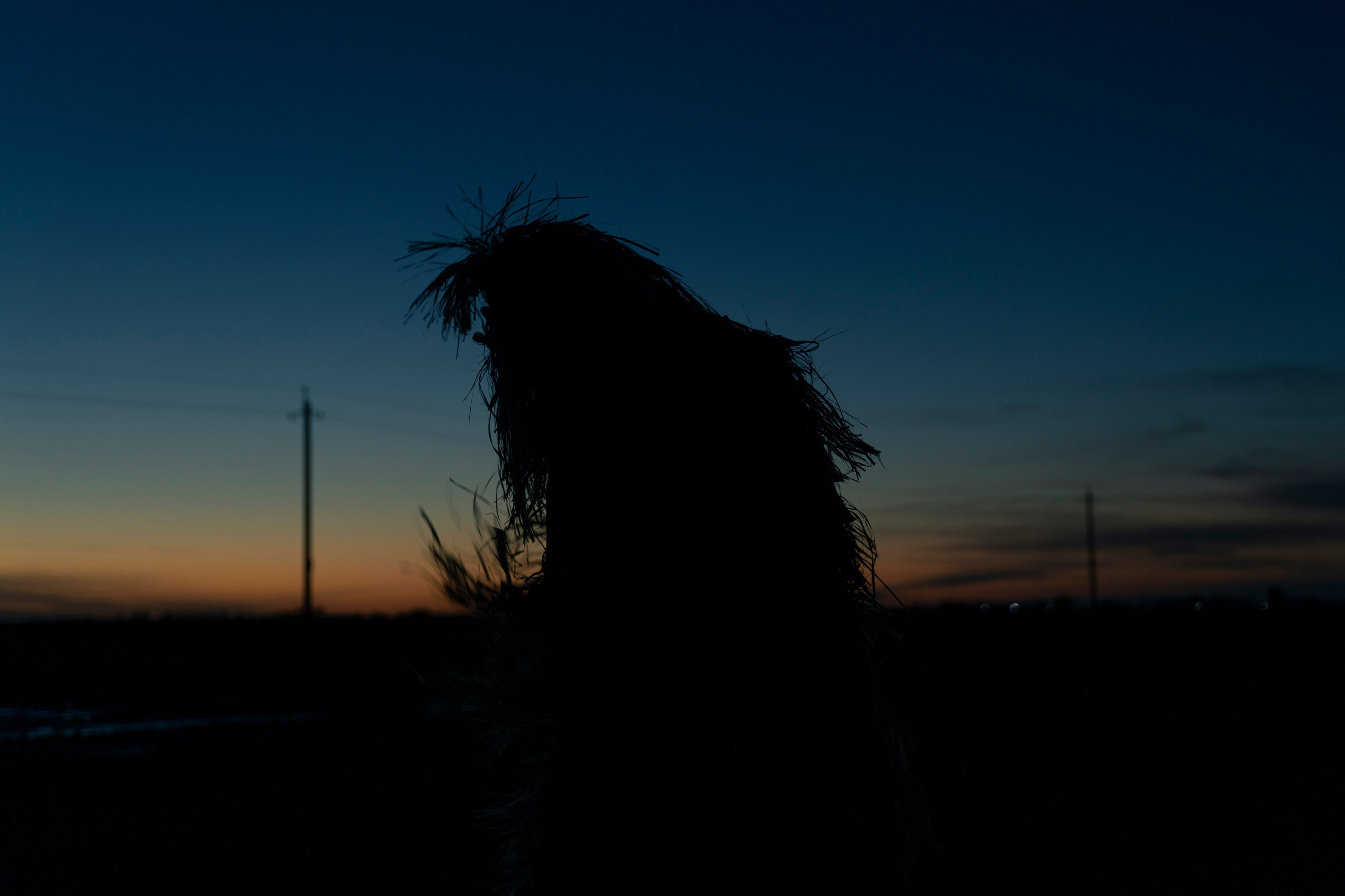 Настя Halloween. Фотограф Анастасия Горлач в Калининграде