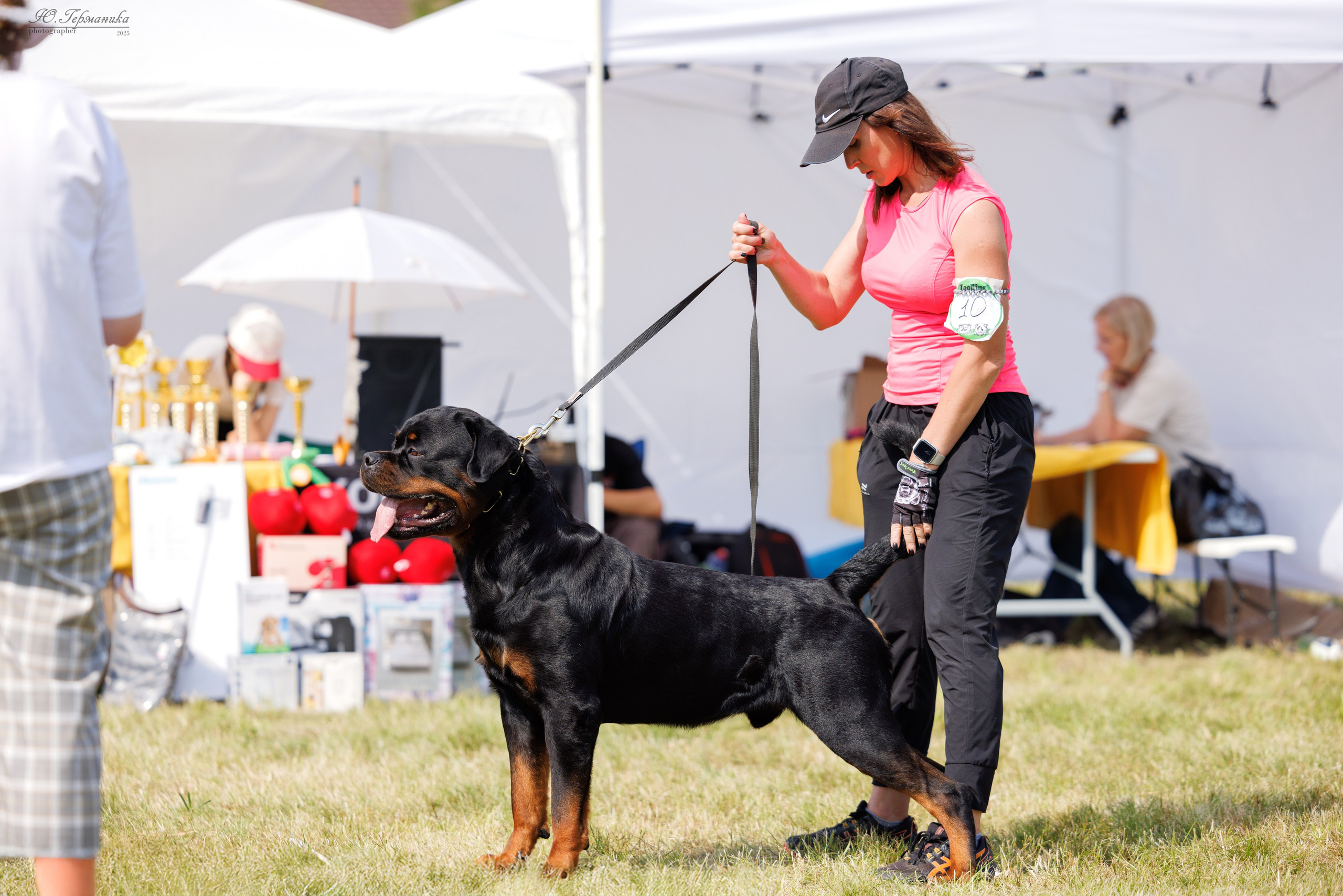 Рязань 2хмоно ротвейлеры 16-17.08.2025. Фотограф-анималист Юлия Германика