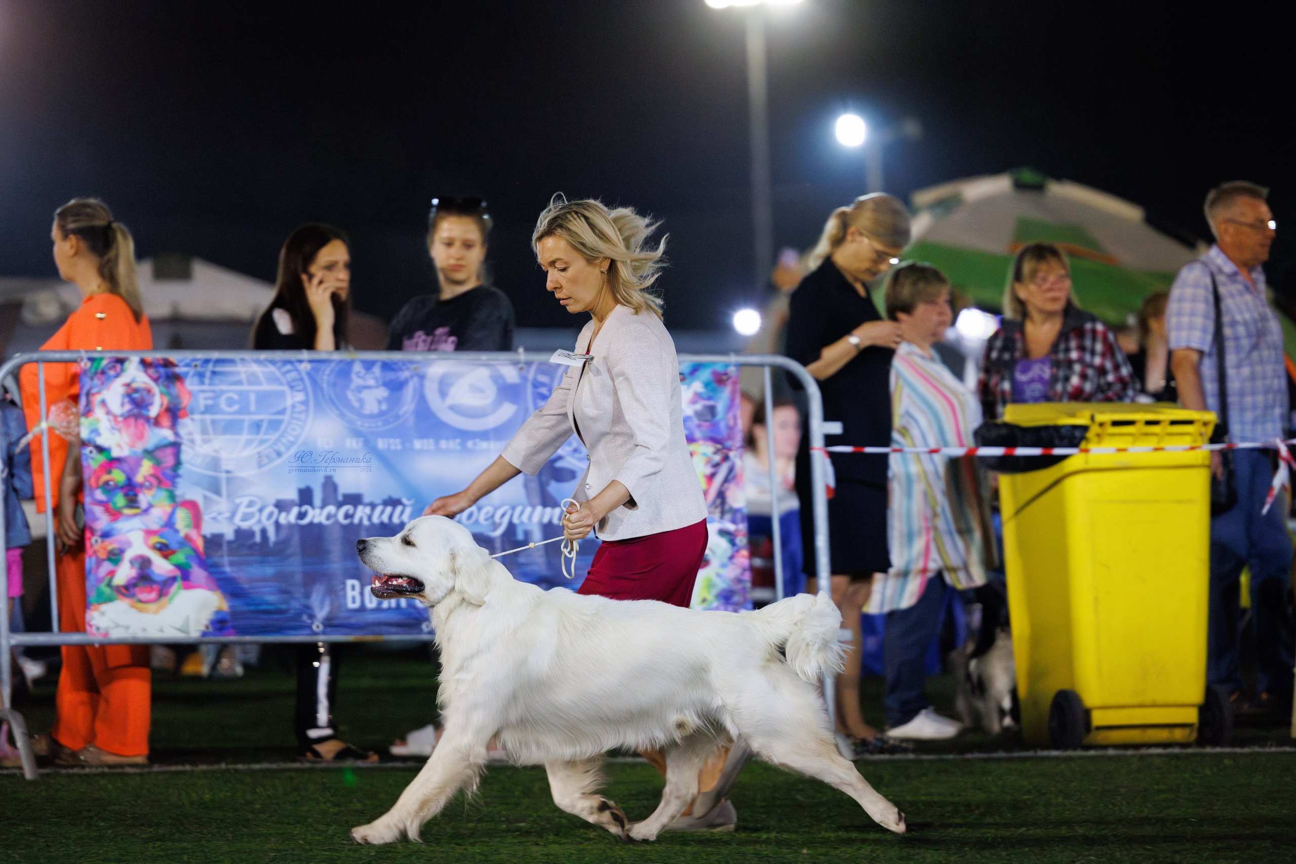 Волгоград 2-4.08.2024. Фотограф-анималист Юлия Германика