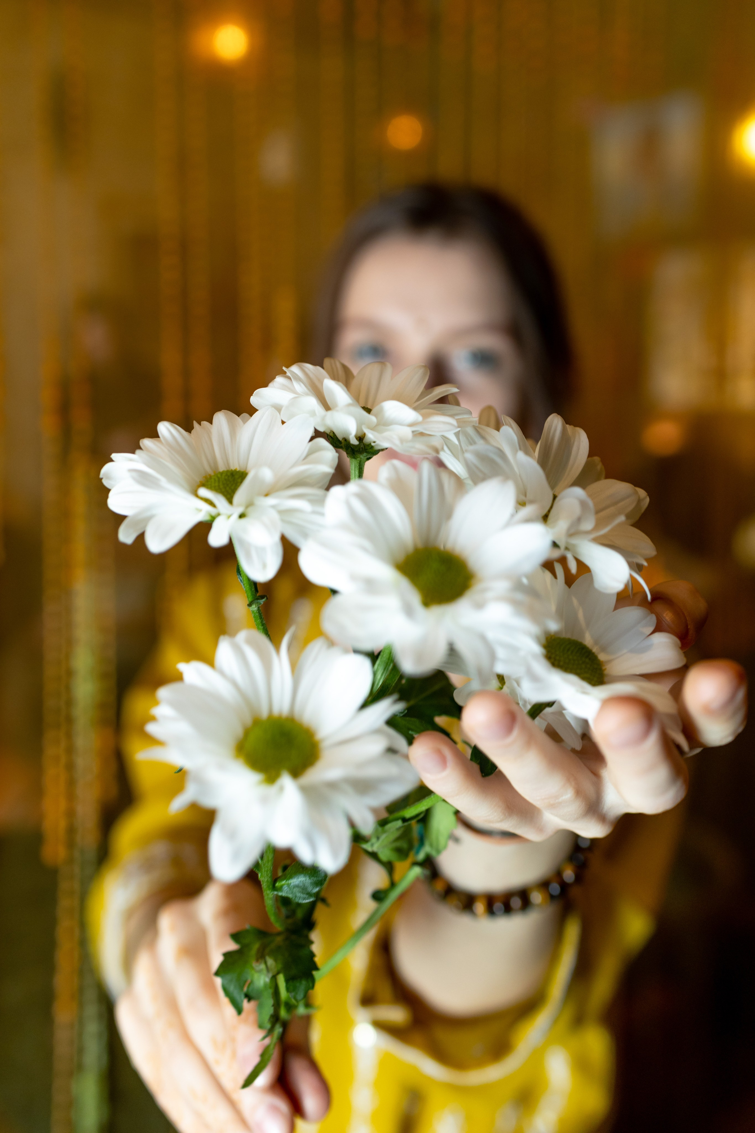 Красавицы Кашмира Спб