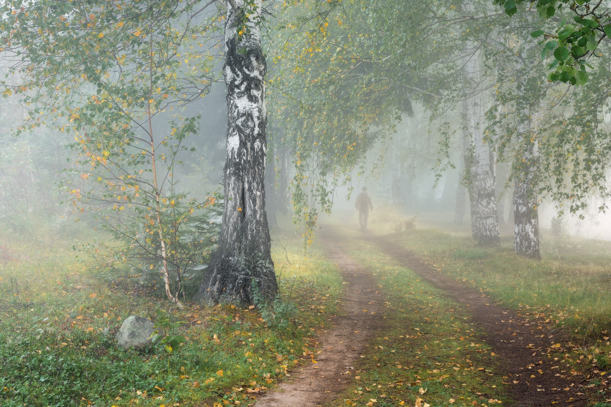 Осенние пейзажи Черноисточинска | Фотограф Николай Обухов