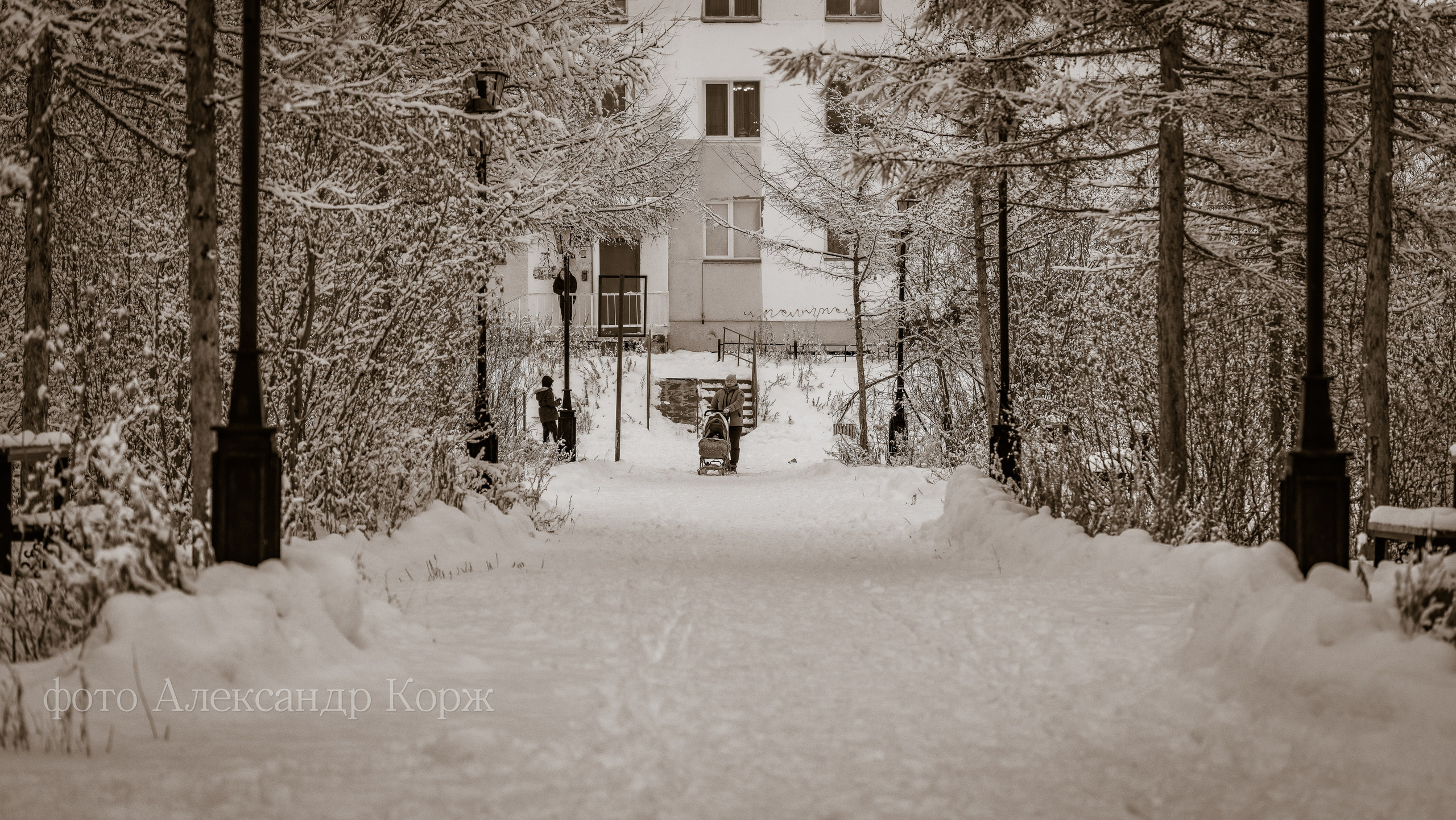 Природа крайнего Севера. Айхал. Фотографии и видеосъемка, Айхал, Удачный, Якутия. Фотографии Айхал