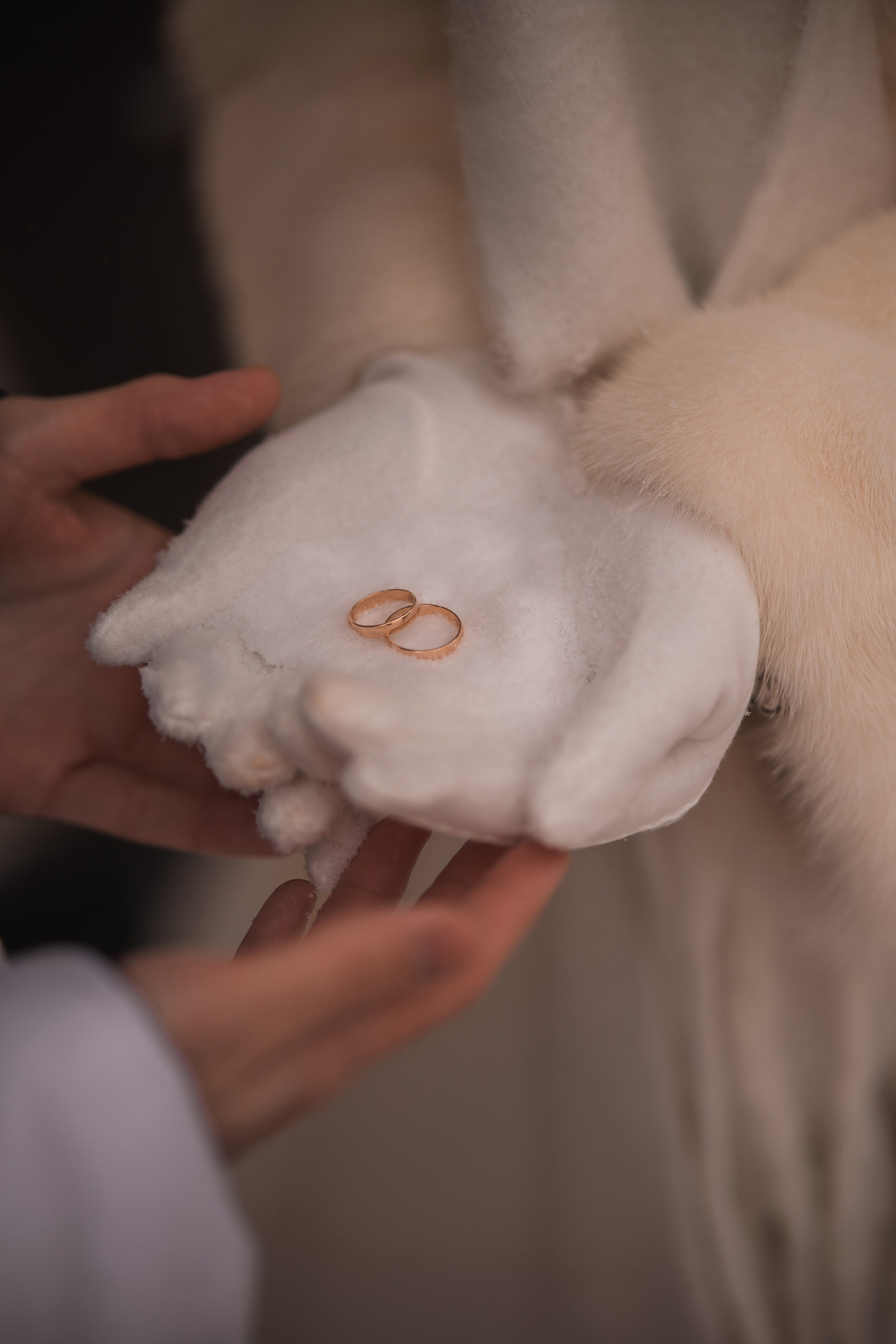 Wedding. Свадебный фотограф Мурманск Александра Малыгина