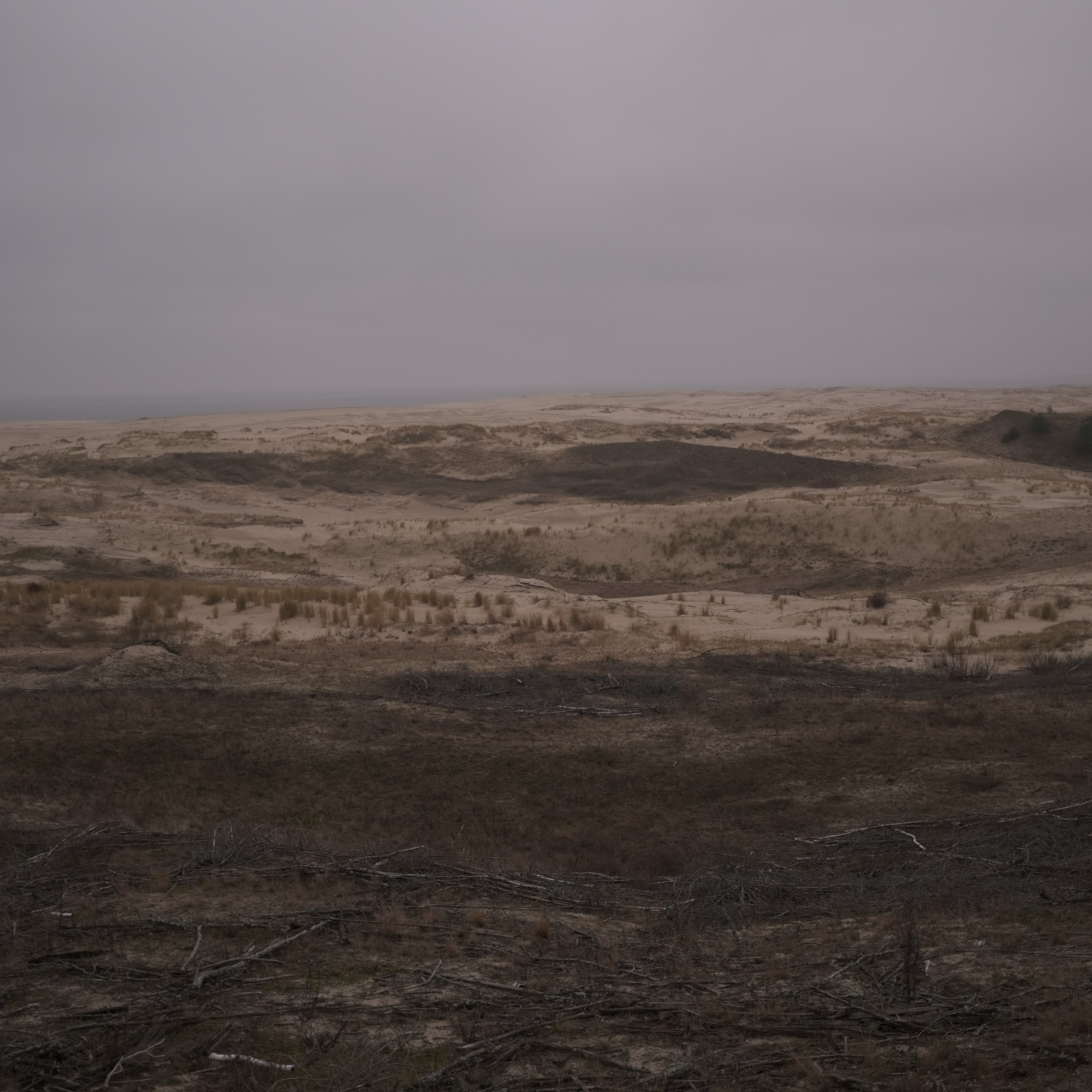 Калининград. LIYALEE PHOTO