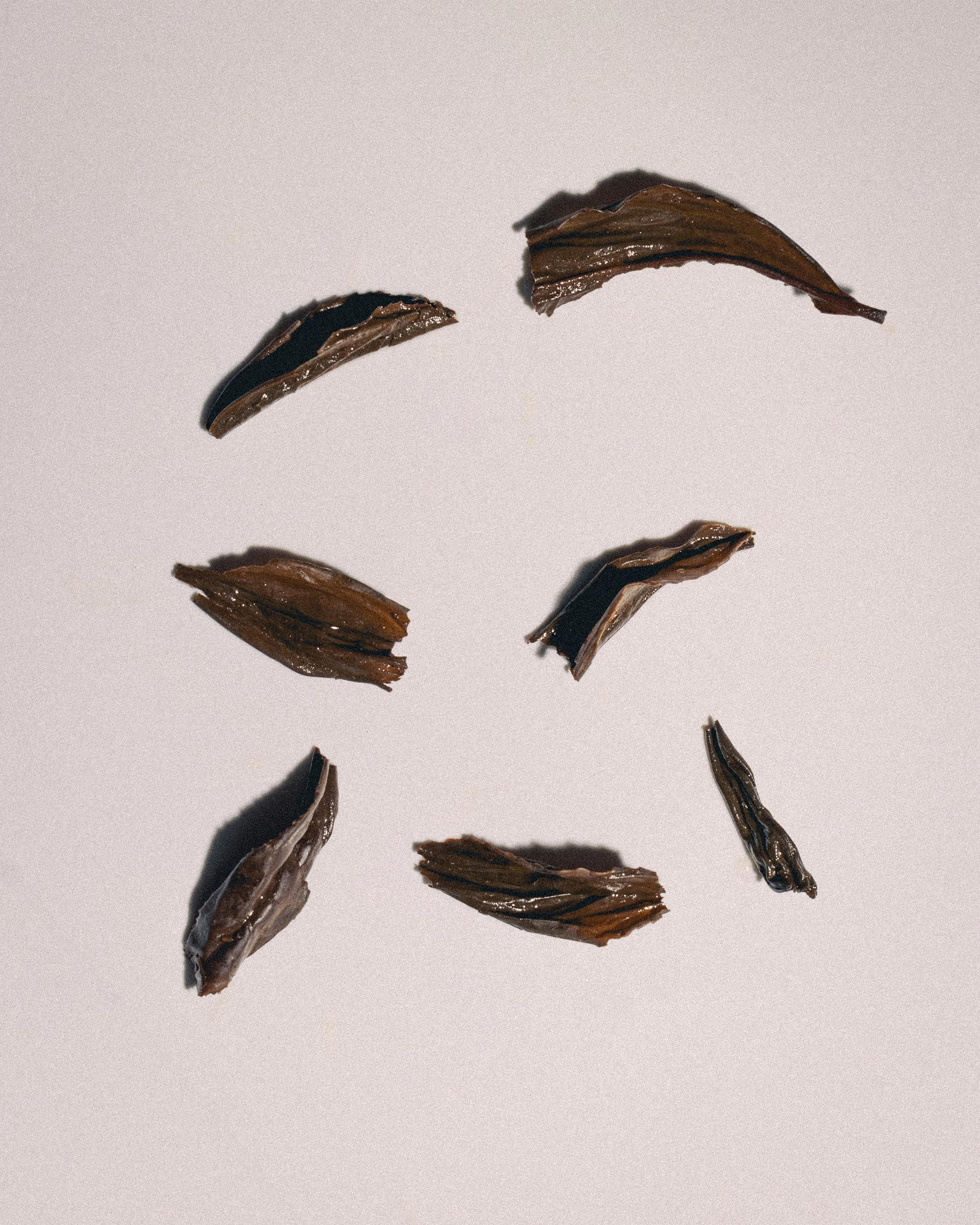 69 — CHA. Ivan Petrov photographer