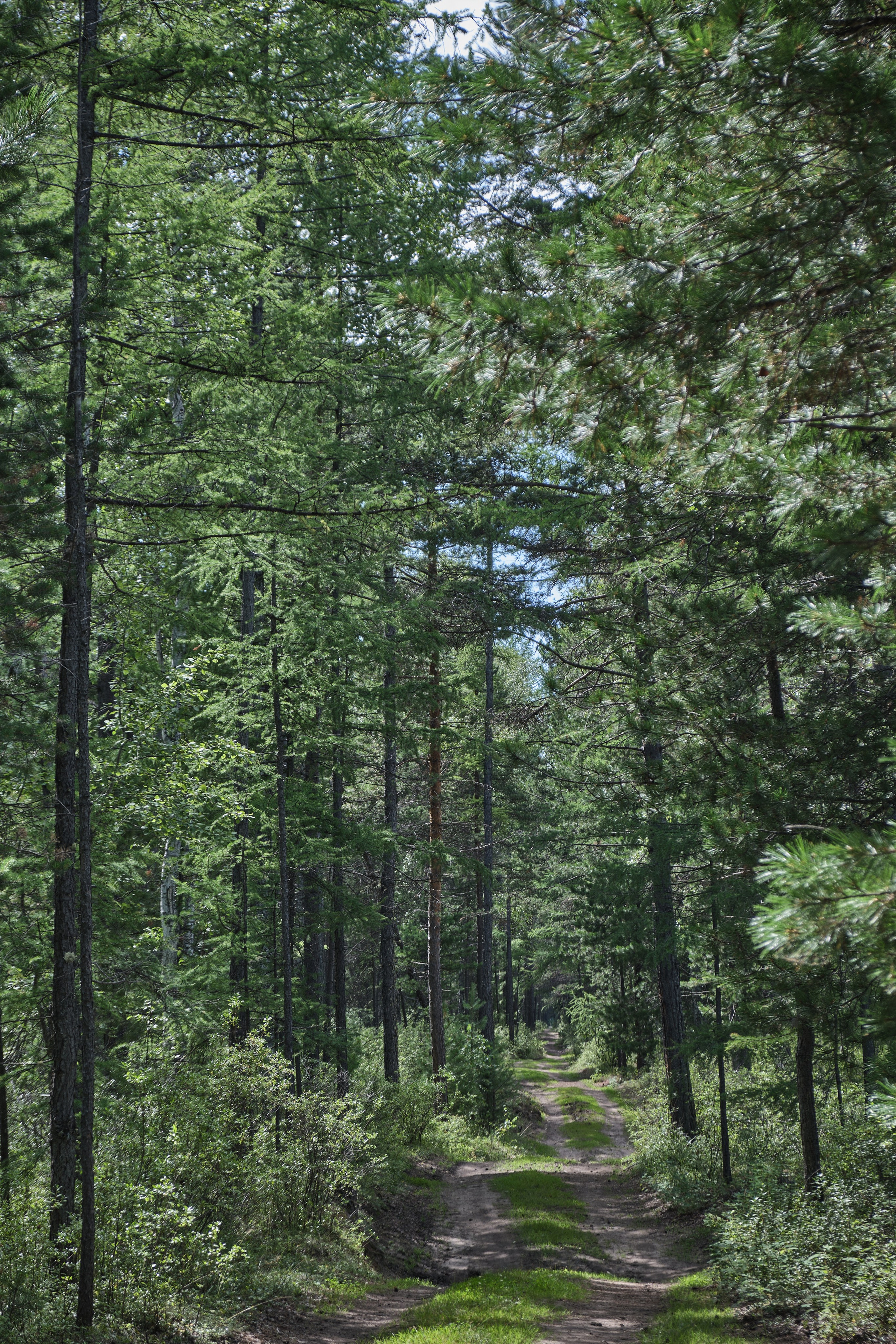 Байкал. Предметный фотограф в Краснодаре