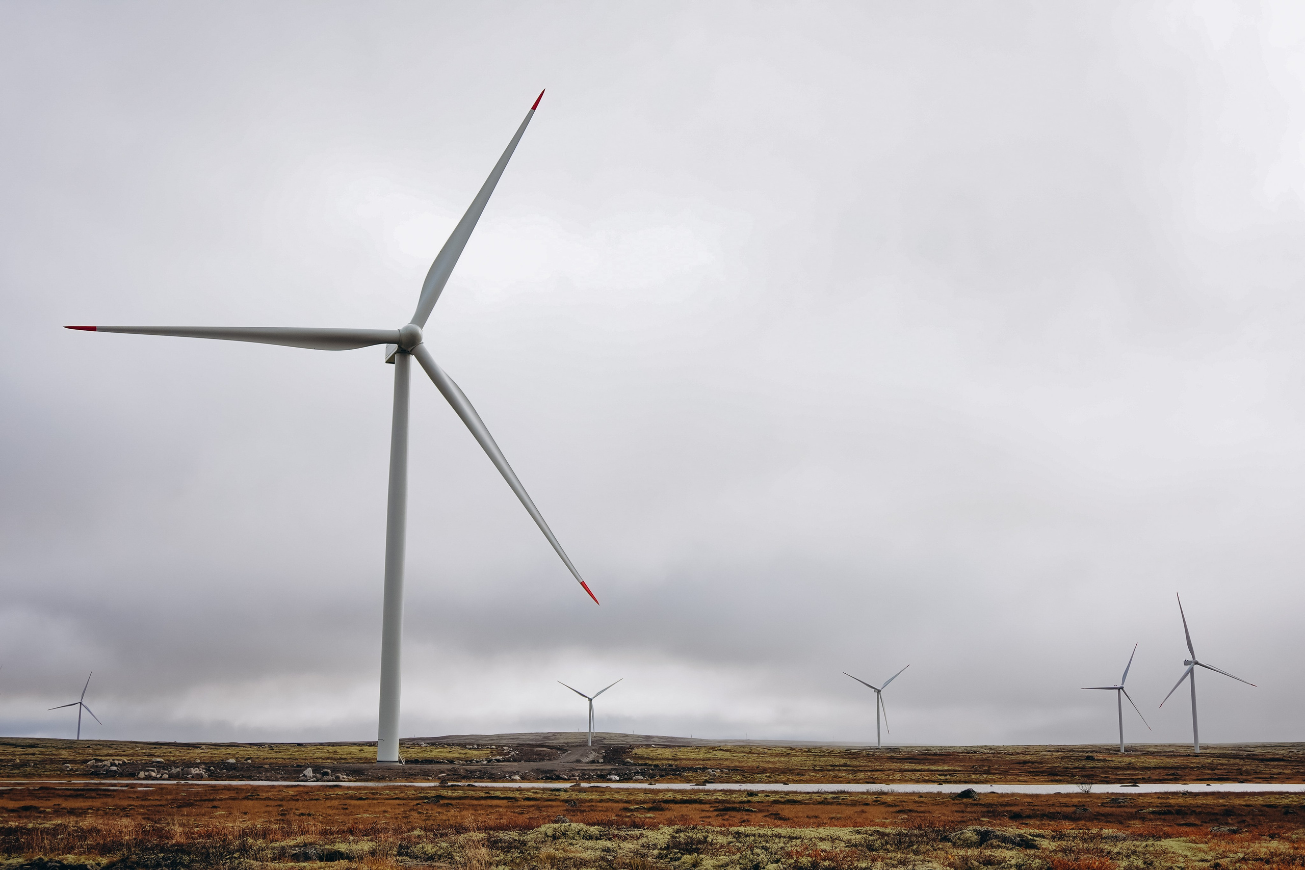 СЕВЕР. Event фотограф Степанова Александра