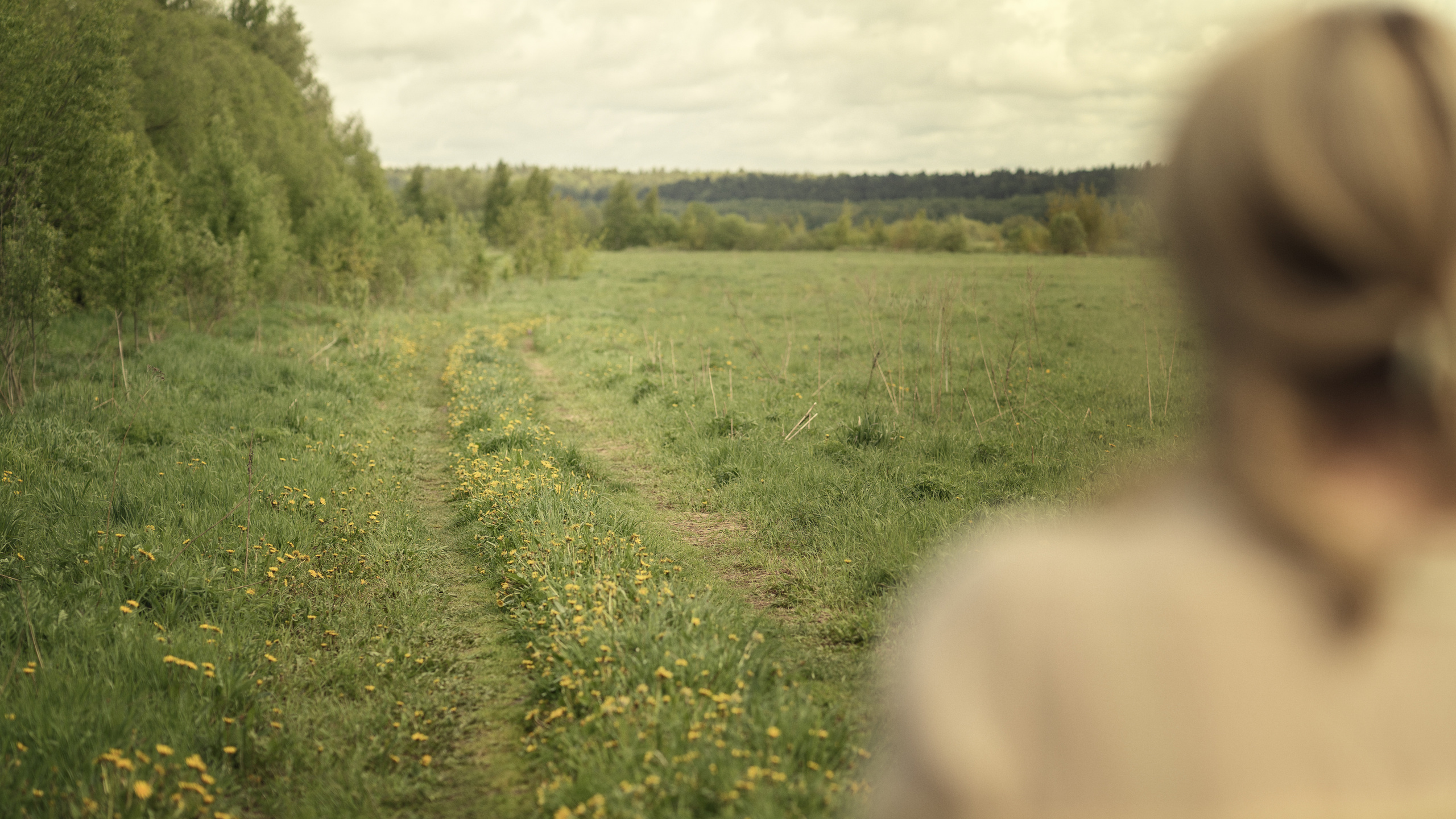 Годовщина. Семейный фотограф Новая Рига (Звенигород, Истра) Евгения Литовченко