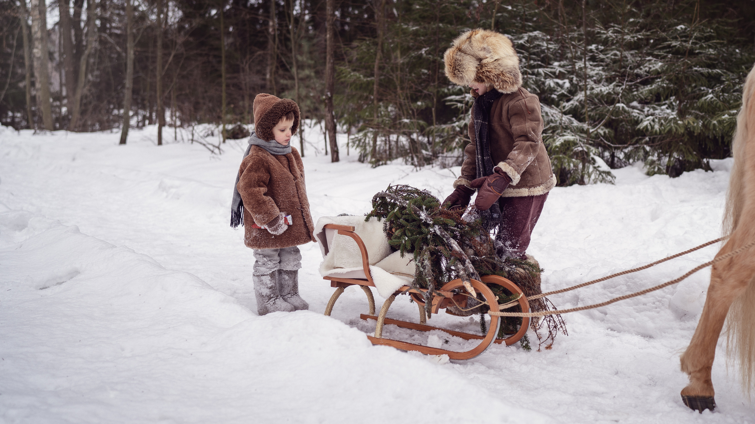 За ёлкой. Семейный фотограф Новая Рига (Звенигород, Истра) Евгения Литовченко