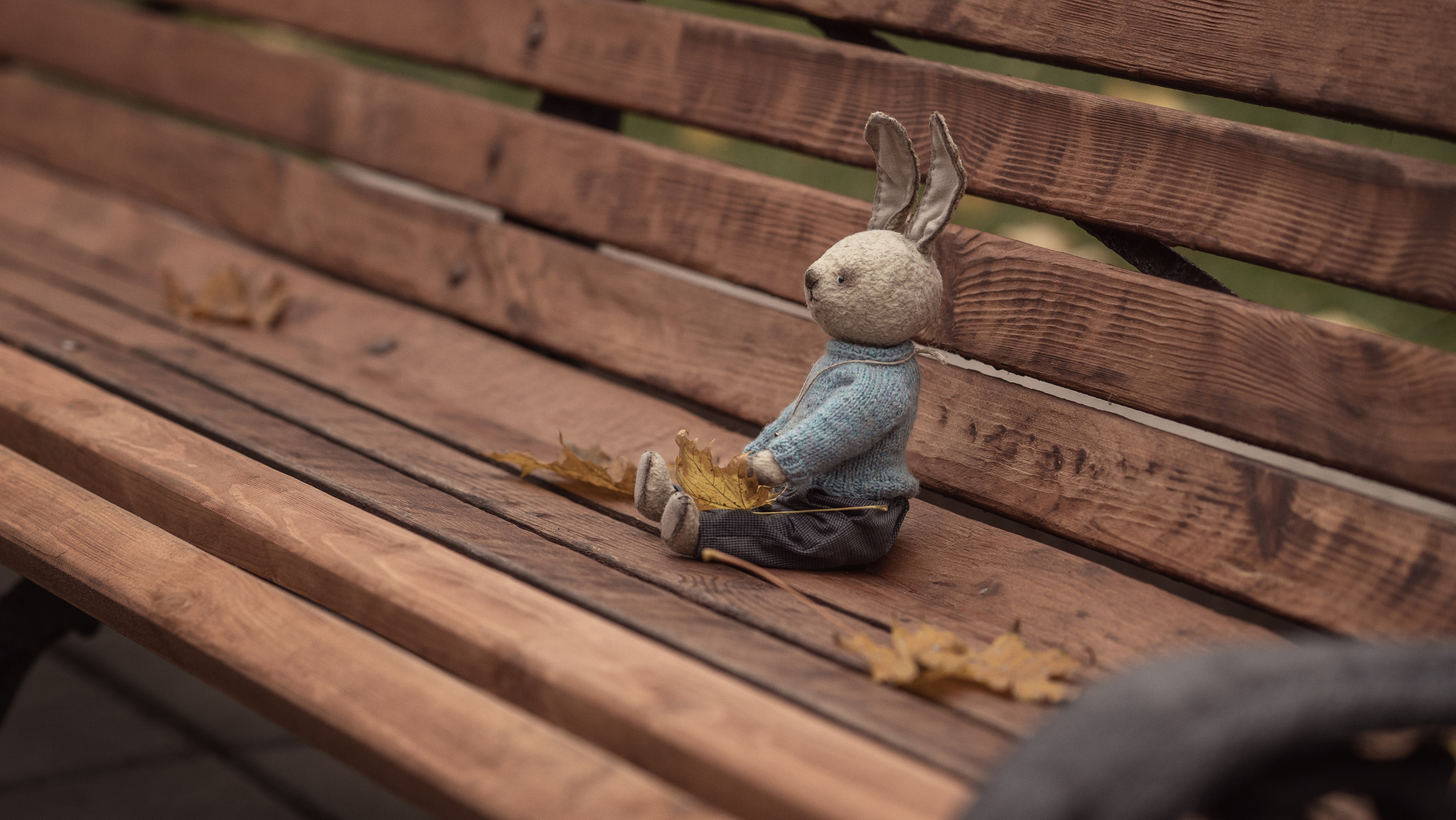 Под красным зонтиком. Семейный фотограф Новая Рига (Звенигород, Истра) Евгения Литовченко