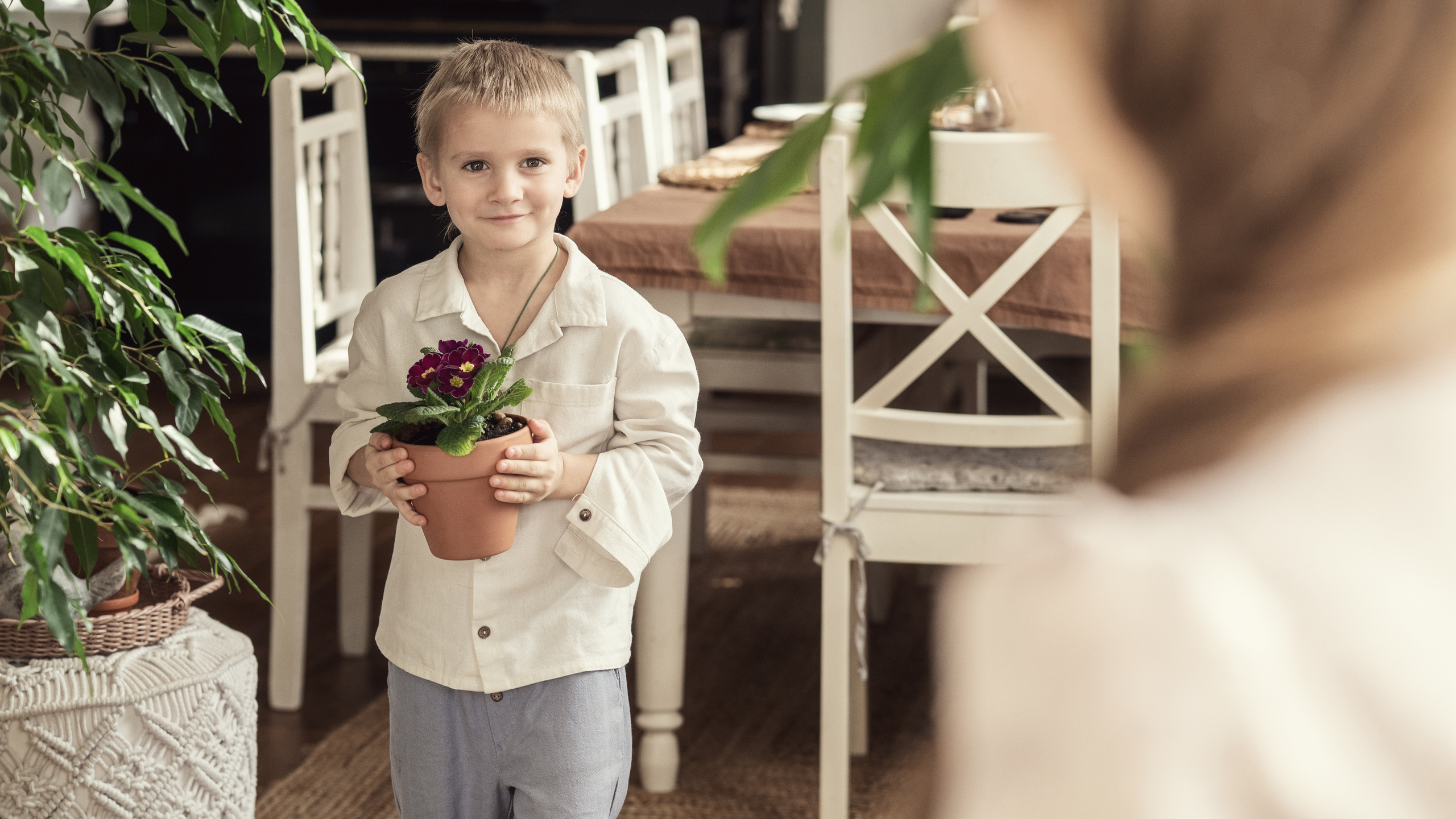 Мальчику пришла идея подарить маме свой комнатный цветок-огонек