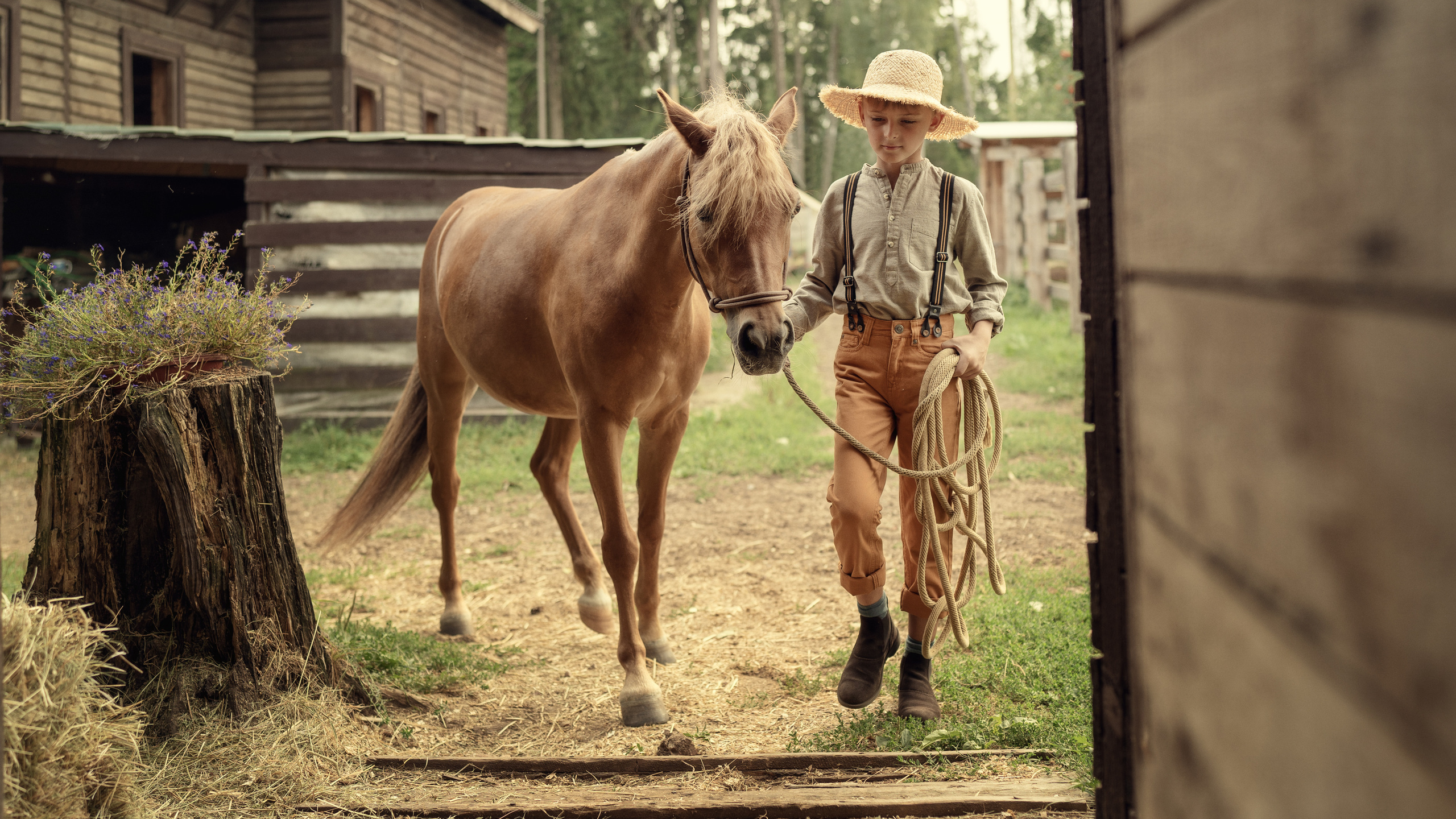 Знакомство. Семейный фотограф Новая Рига (Звенигород, Истра) Евгения Литовченко