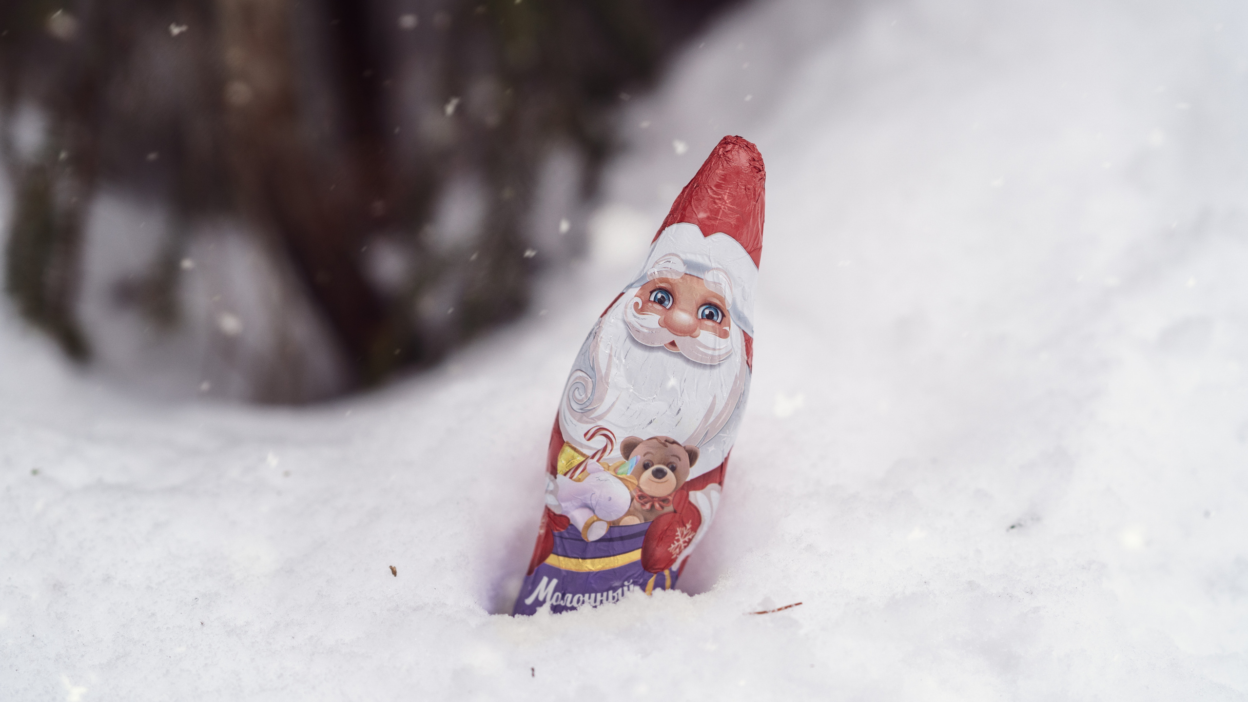 За ёлкой. Семейный фотограф Новая Рига (Звенигород, Истра) Евгения Литовченко