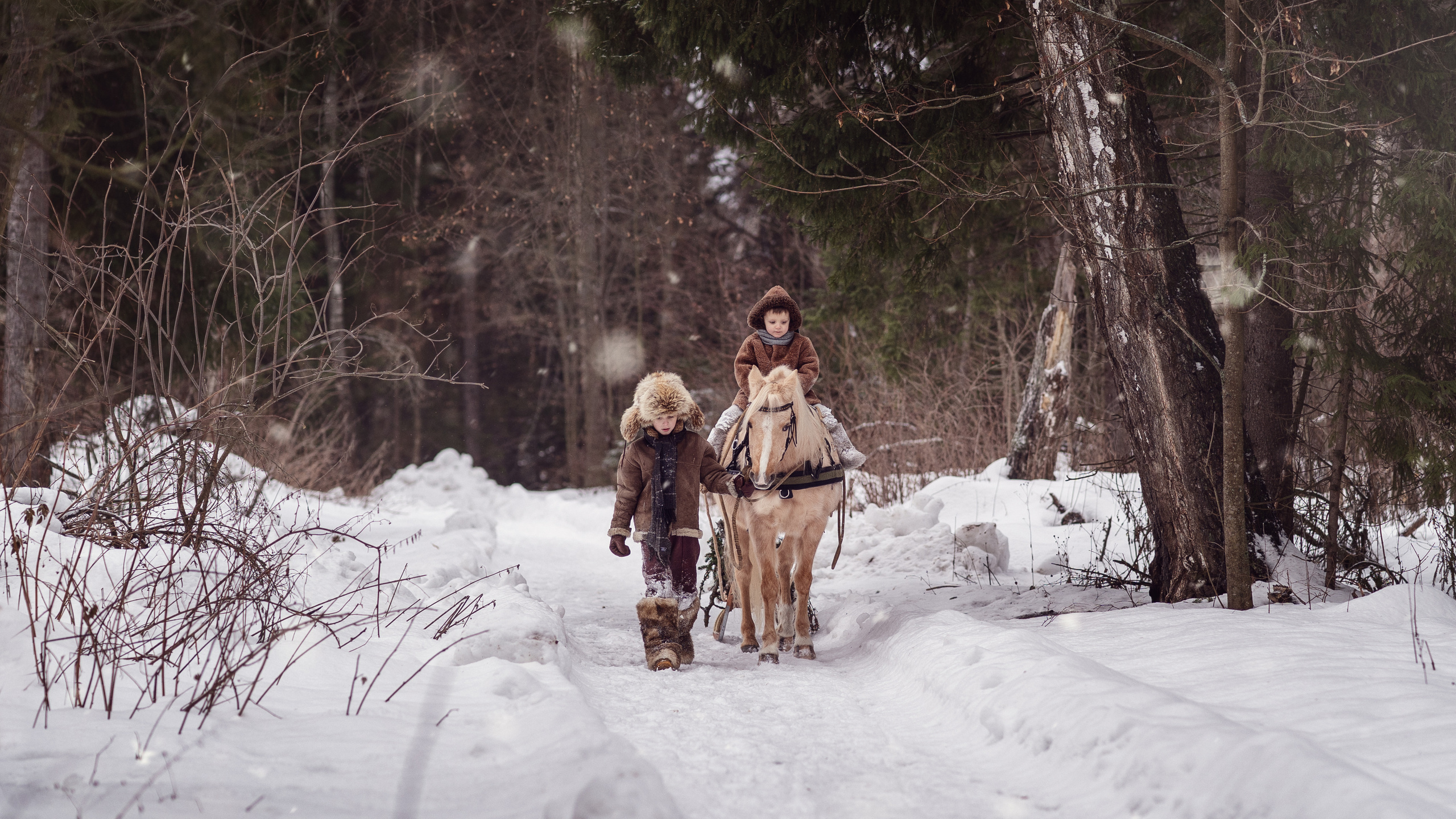 За ёлкой. Семейный фотограф Новая Рига (Звенигород, Истра) Евгения Литовченко