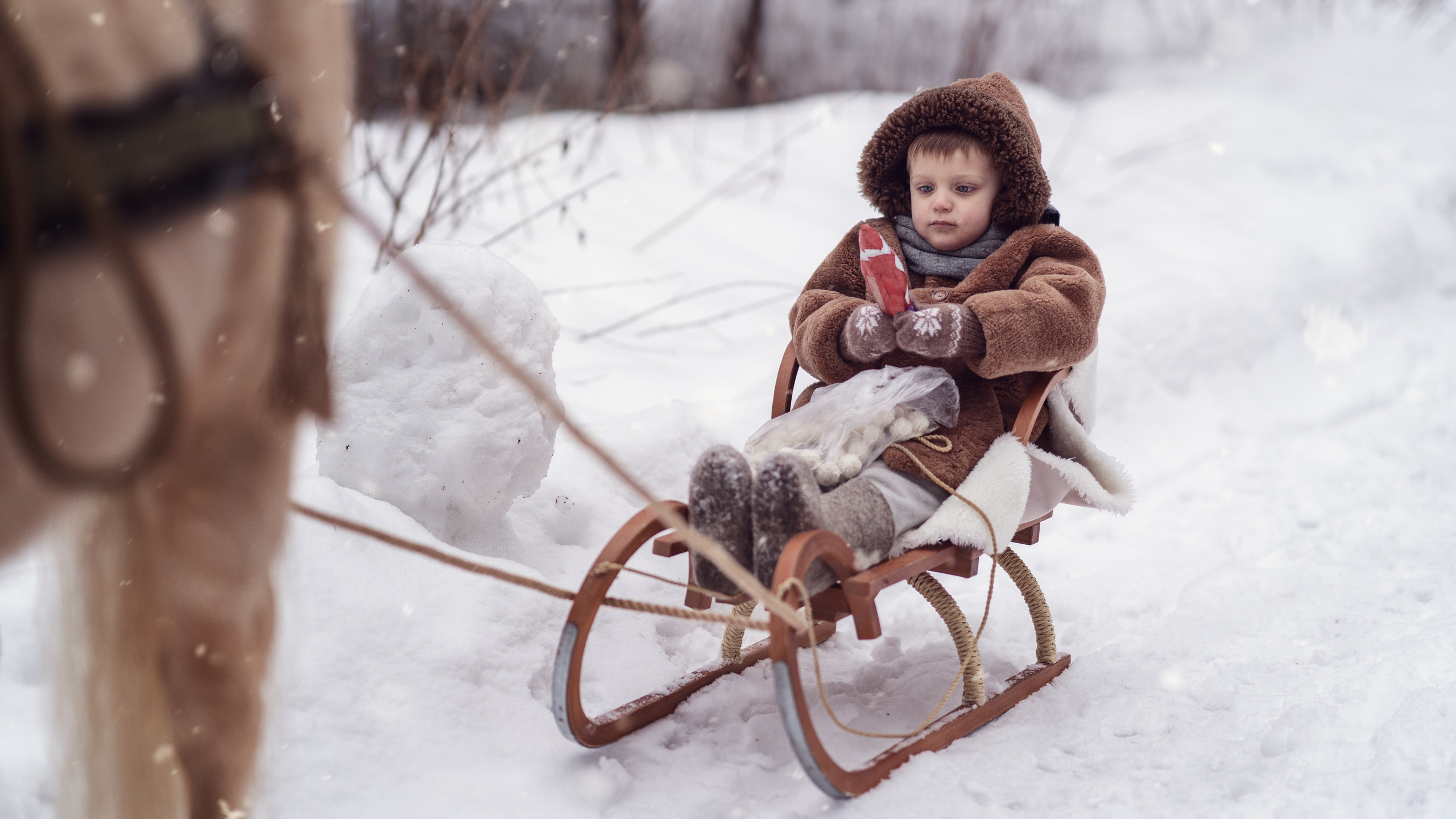 За ёлкой. Семейный фотограф Новая Рига (Звенигород, Истра) Евгения Литовченко
