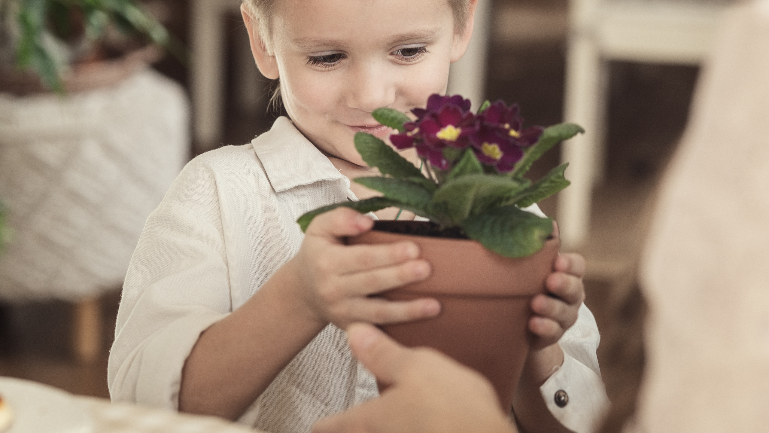 Мальчик дарит маме цветок-огонек