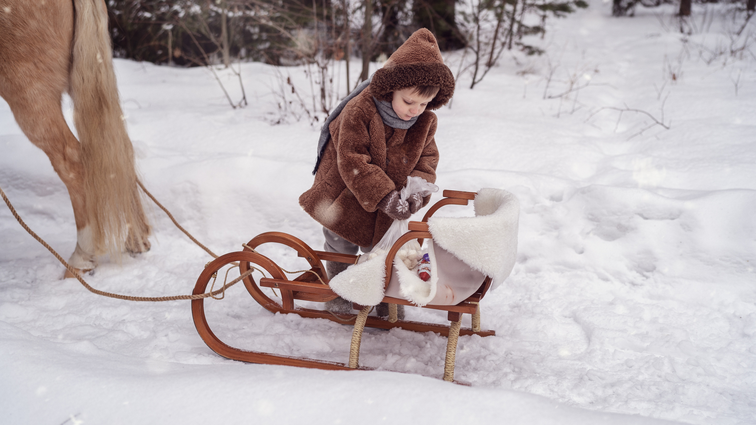 За ёлкой. Семейный фотограф Новая Рига (Звенигород, Истра) Евгения Литовченко
